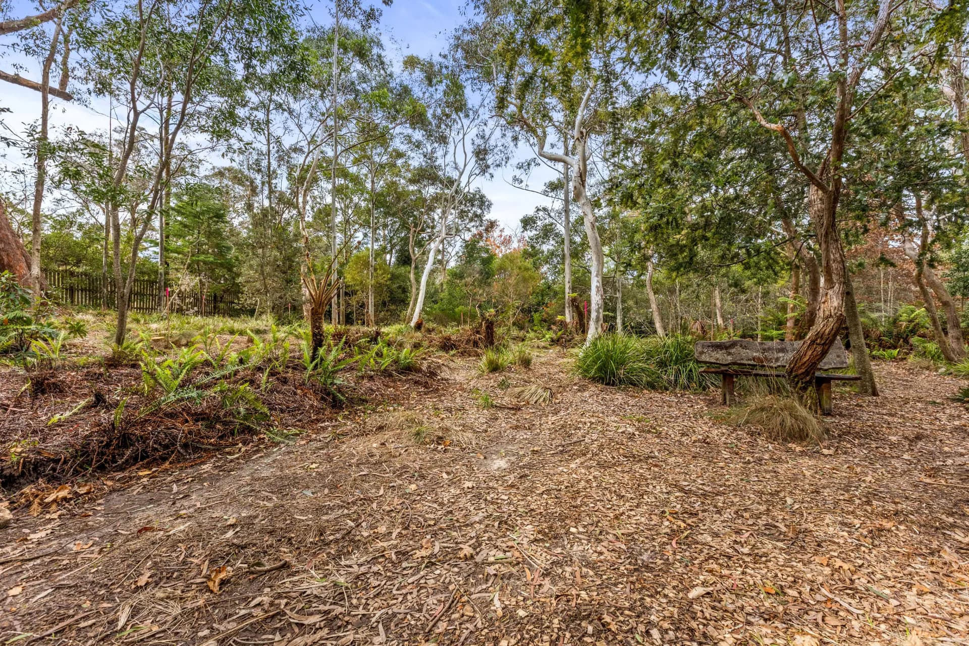 4 Ada Road, Blackheath - Thumbnail 2