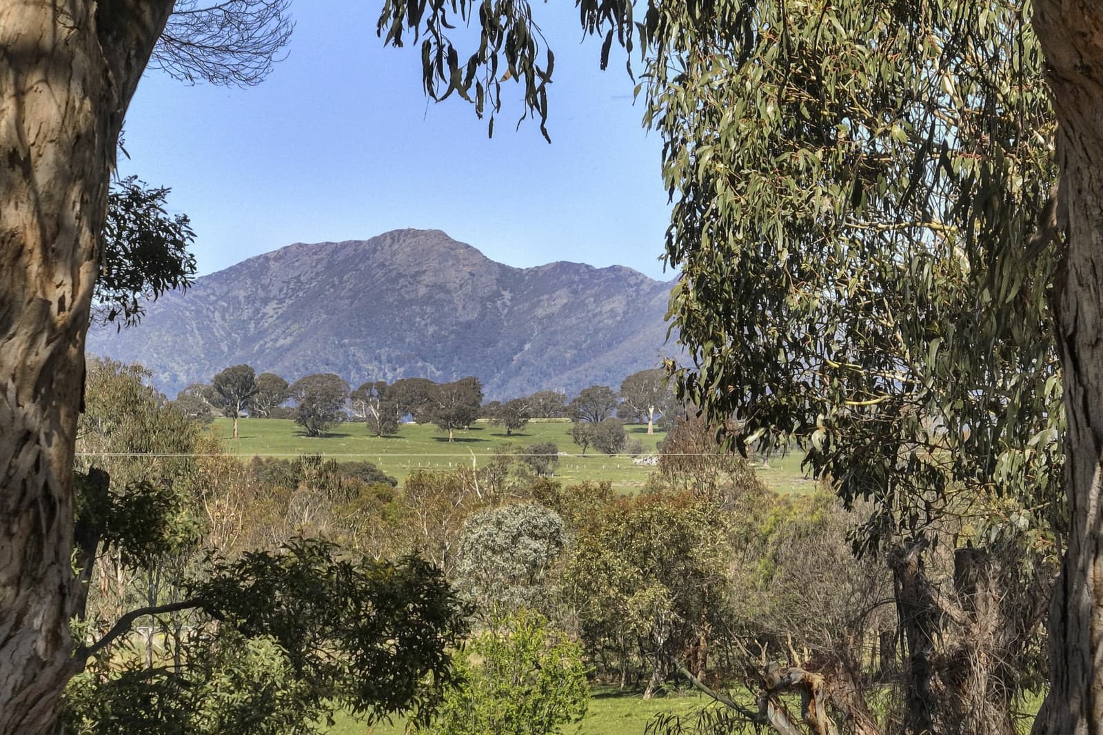 439 Buttercup Road,Merrijig, Merrijig - Thumbnail 4