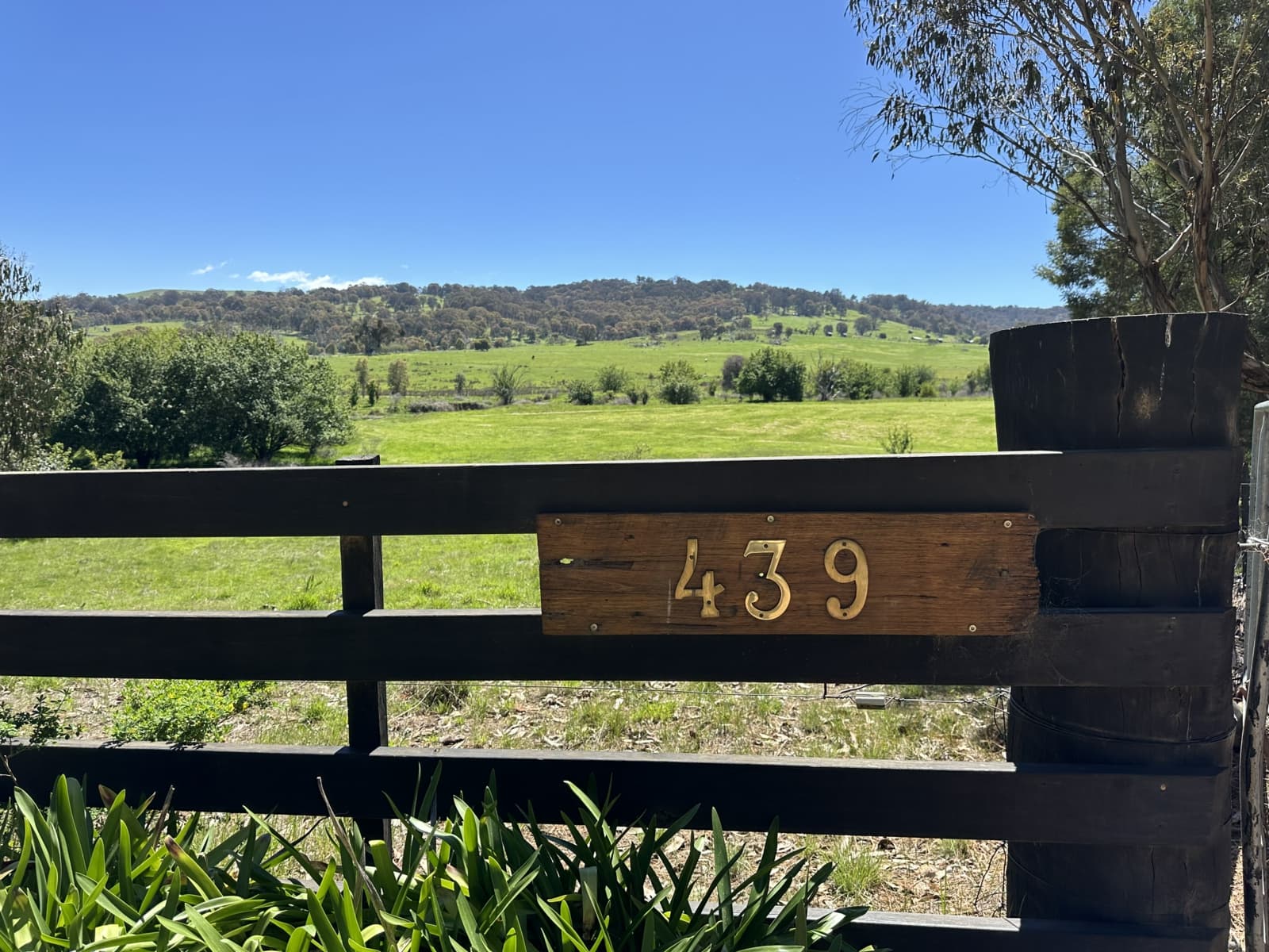 439 Buttercup Road,Merrijig, Merrijig - Thumbnail 6