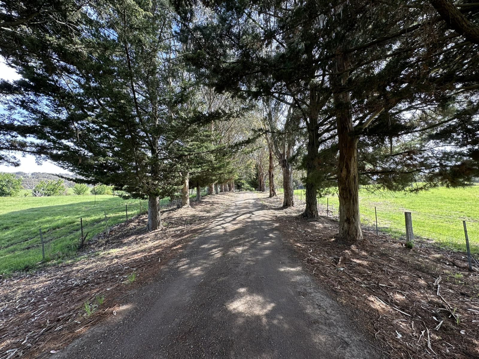 439 Buttercup Road,Merrijig, Merrijig - Thumbnail 7
