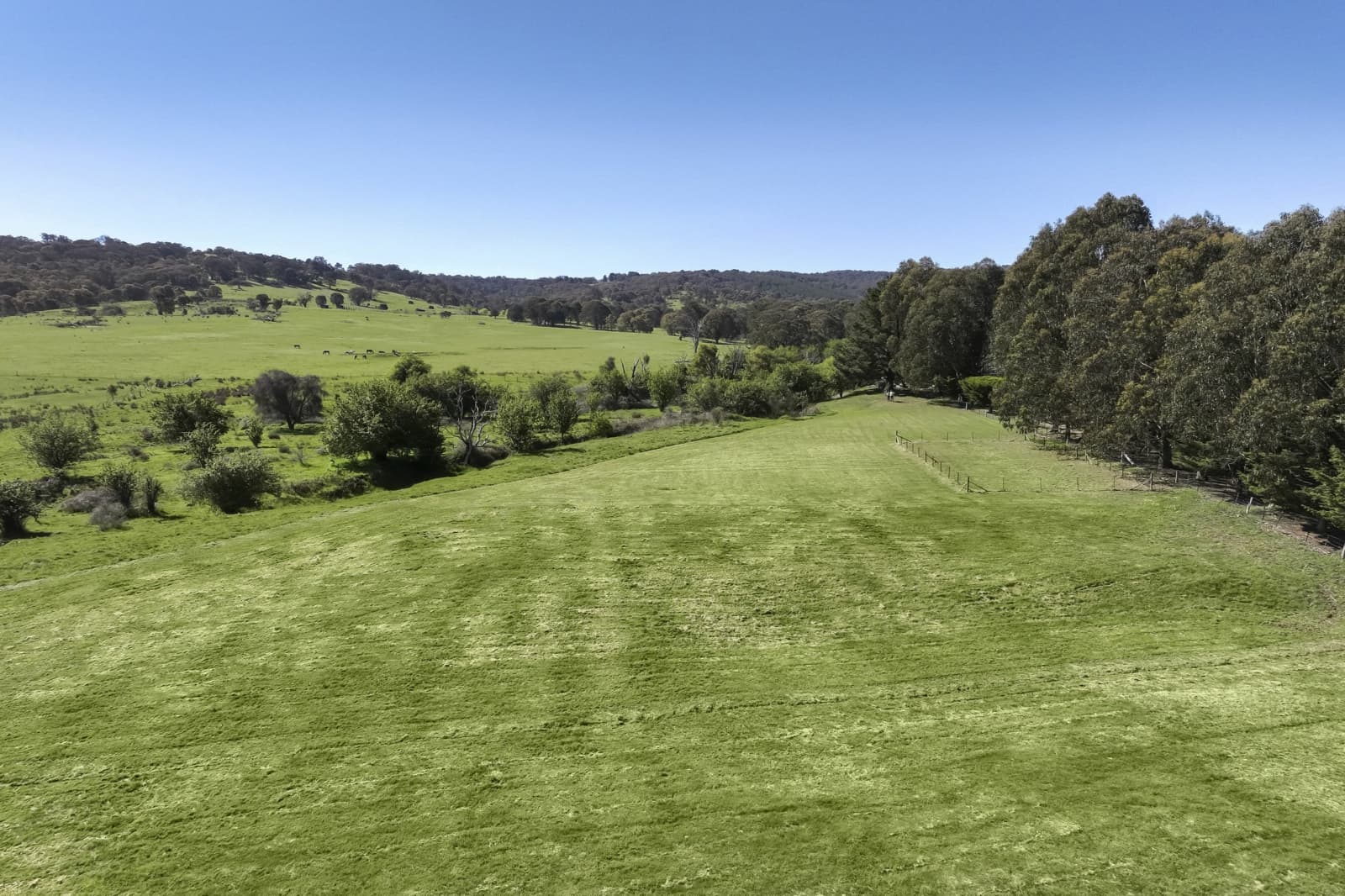 439 Buttercup Road,Merrijig, Merrijig - Thumbnail 8