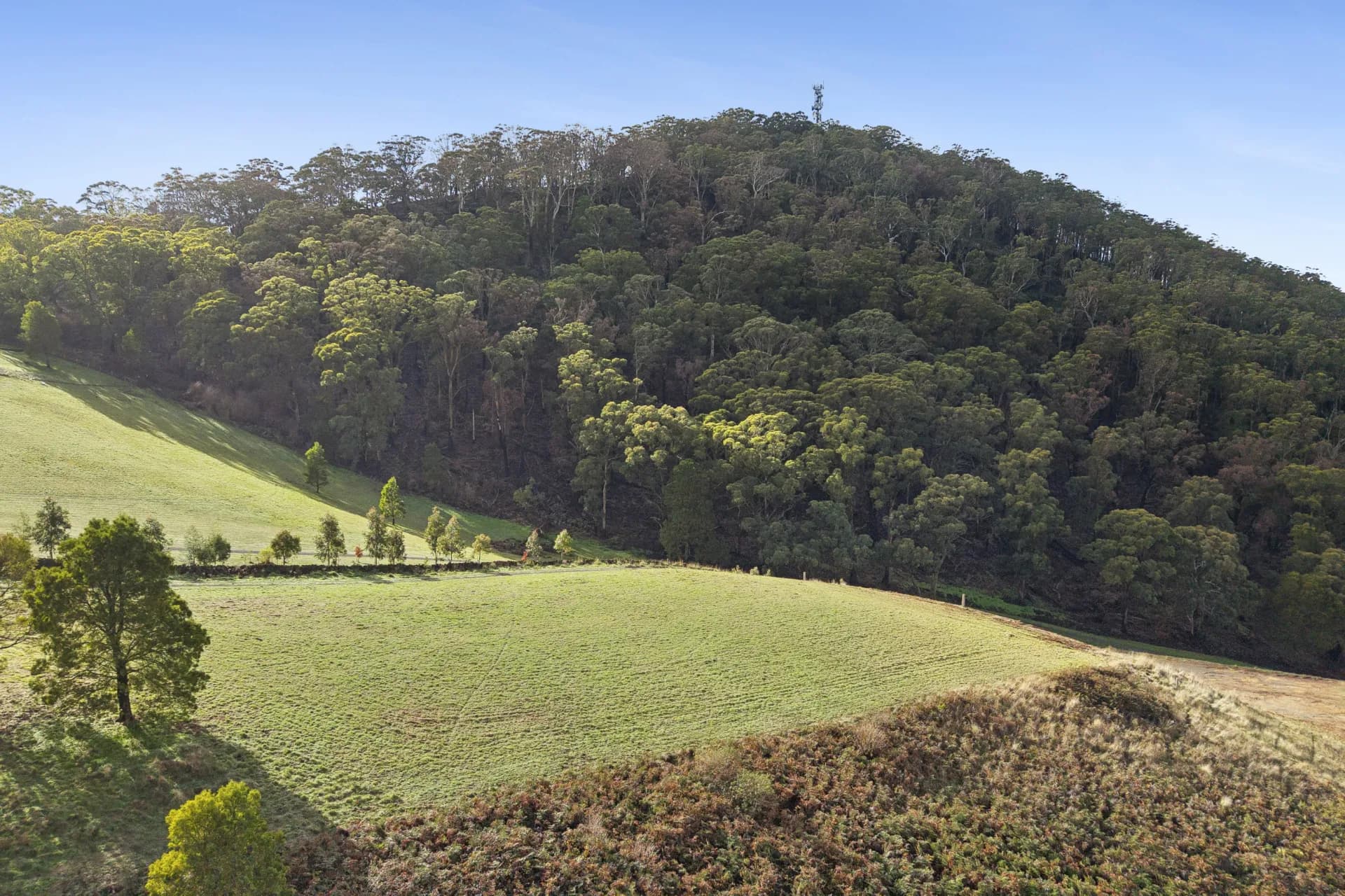 Yendon No 2 Road, Buninyong - Thumbnail 3