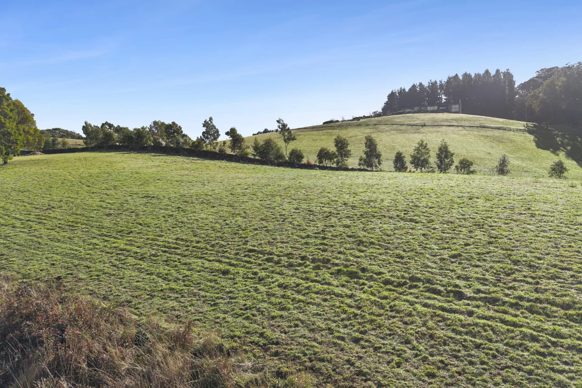 Yendon No 2 Road, Buninyong - Thumbnail 6