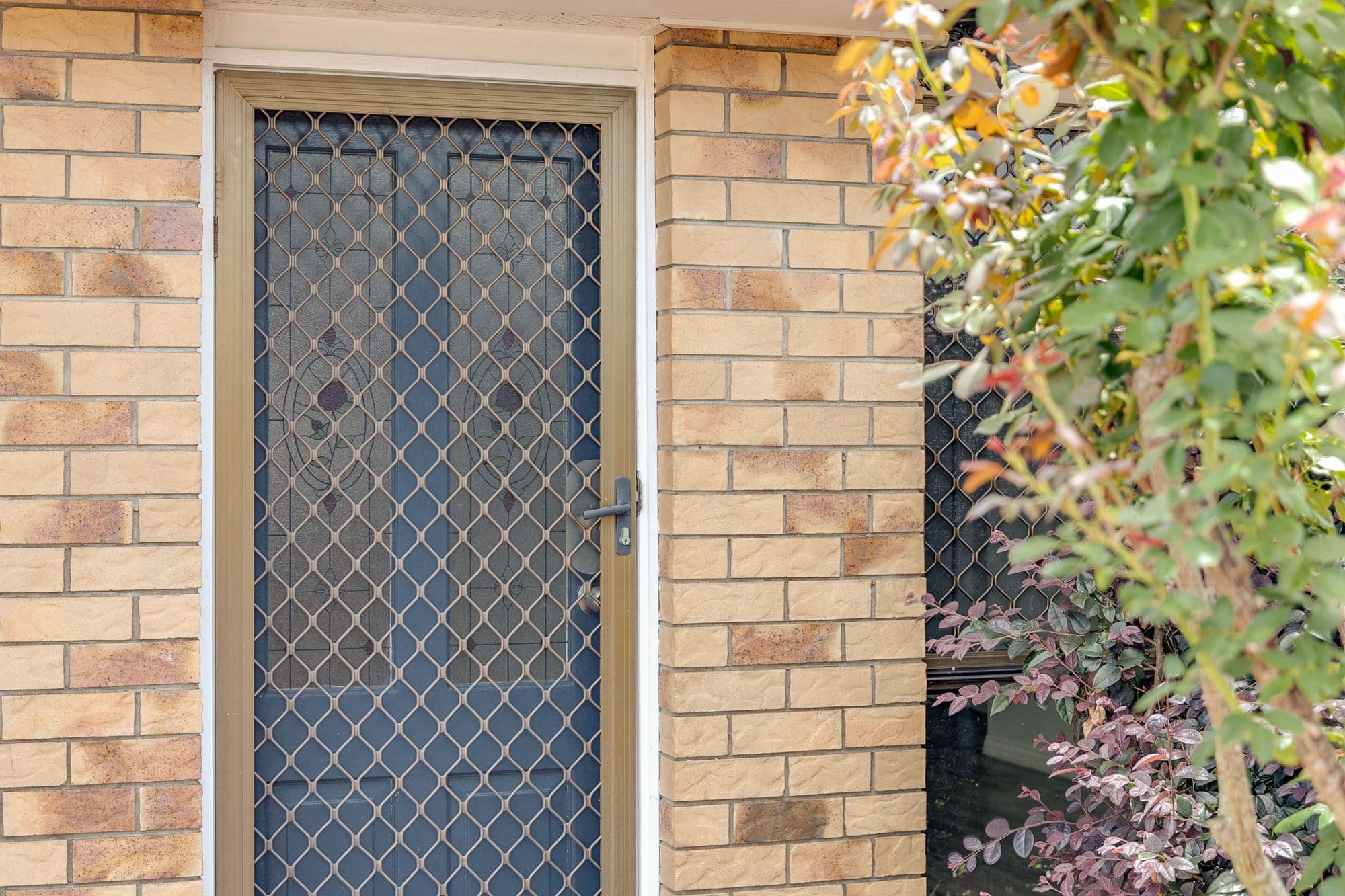 23 Marwedel Street, Kearneys Spring QLD 4350, Kearneys Spring - Thumbnail 3