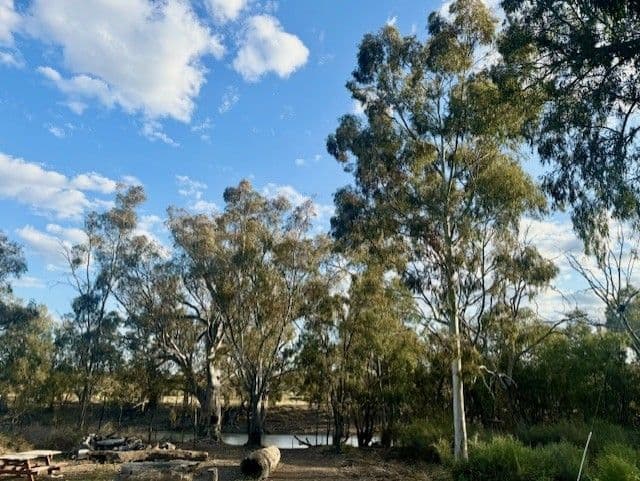 2 MURRAY Street, Moulamein NSW 2733, Moulamein - Thumbnail 3