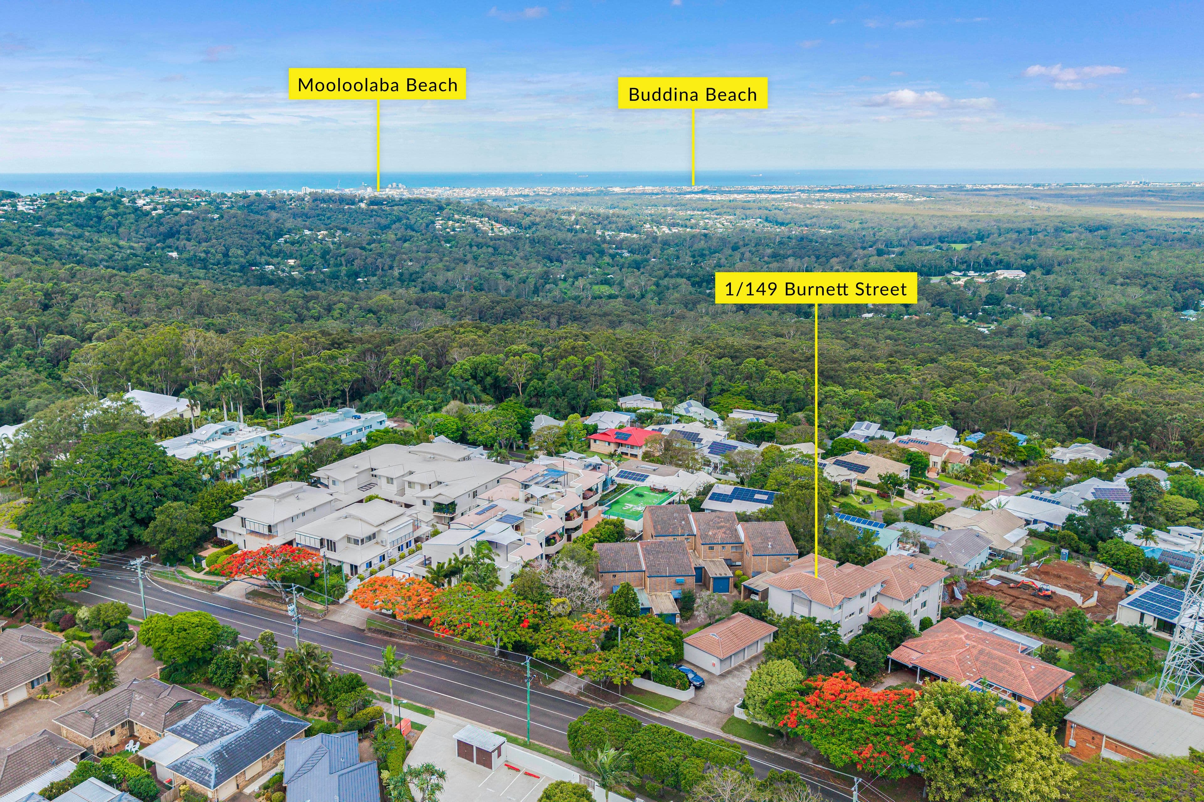 149 Burnett Street, Buderim QLD 4556, Buderim - Thumbnail 5
