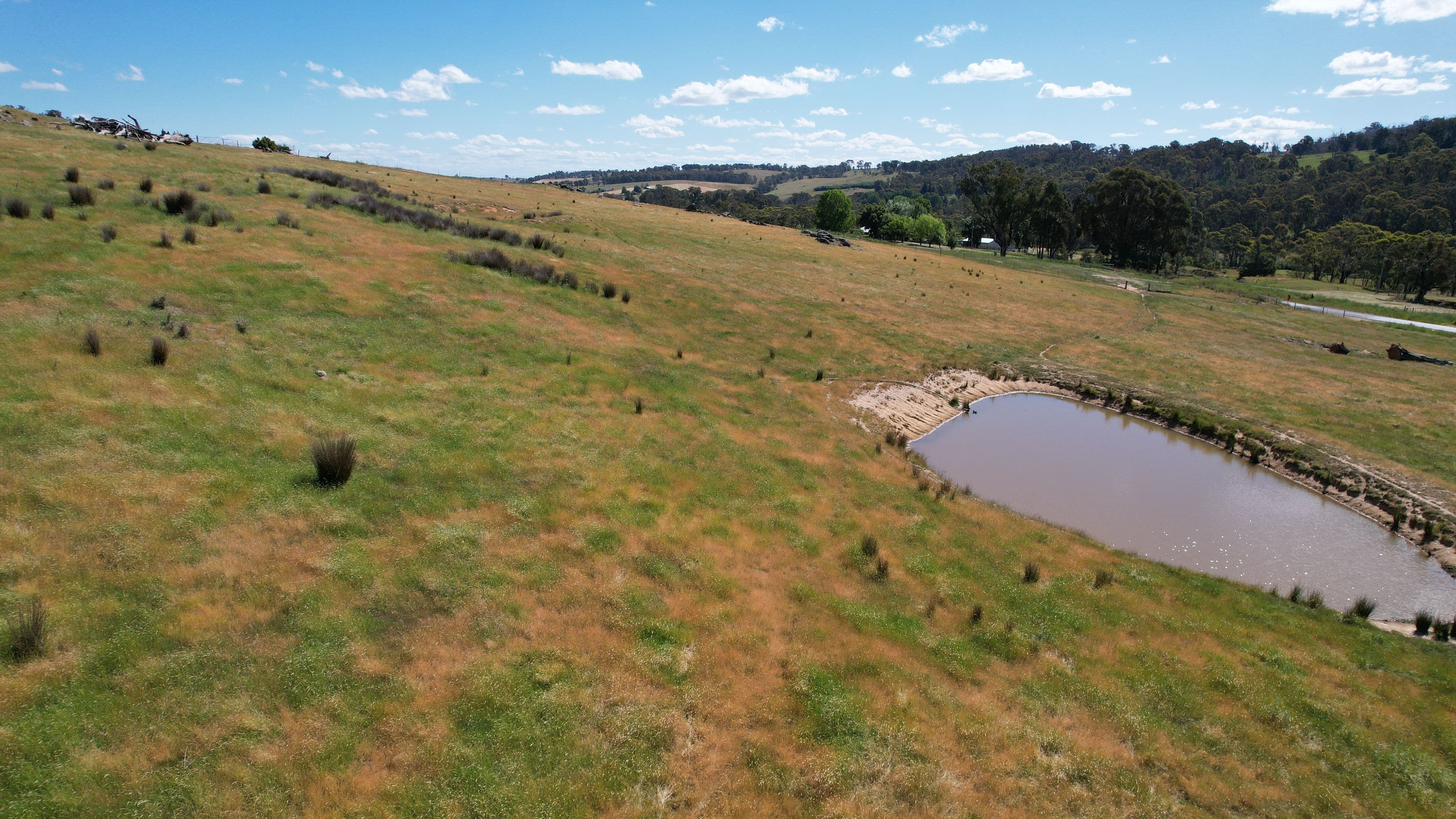 580 Batlow Road, Tumbarumba NSW 2653, Tumbarumba - Image 1
