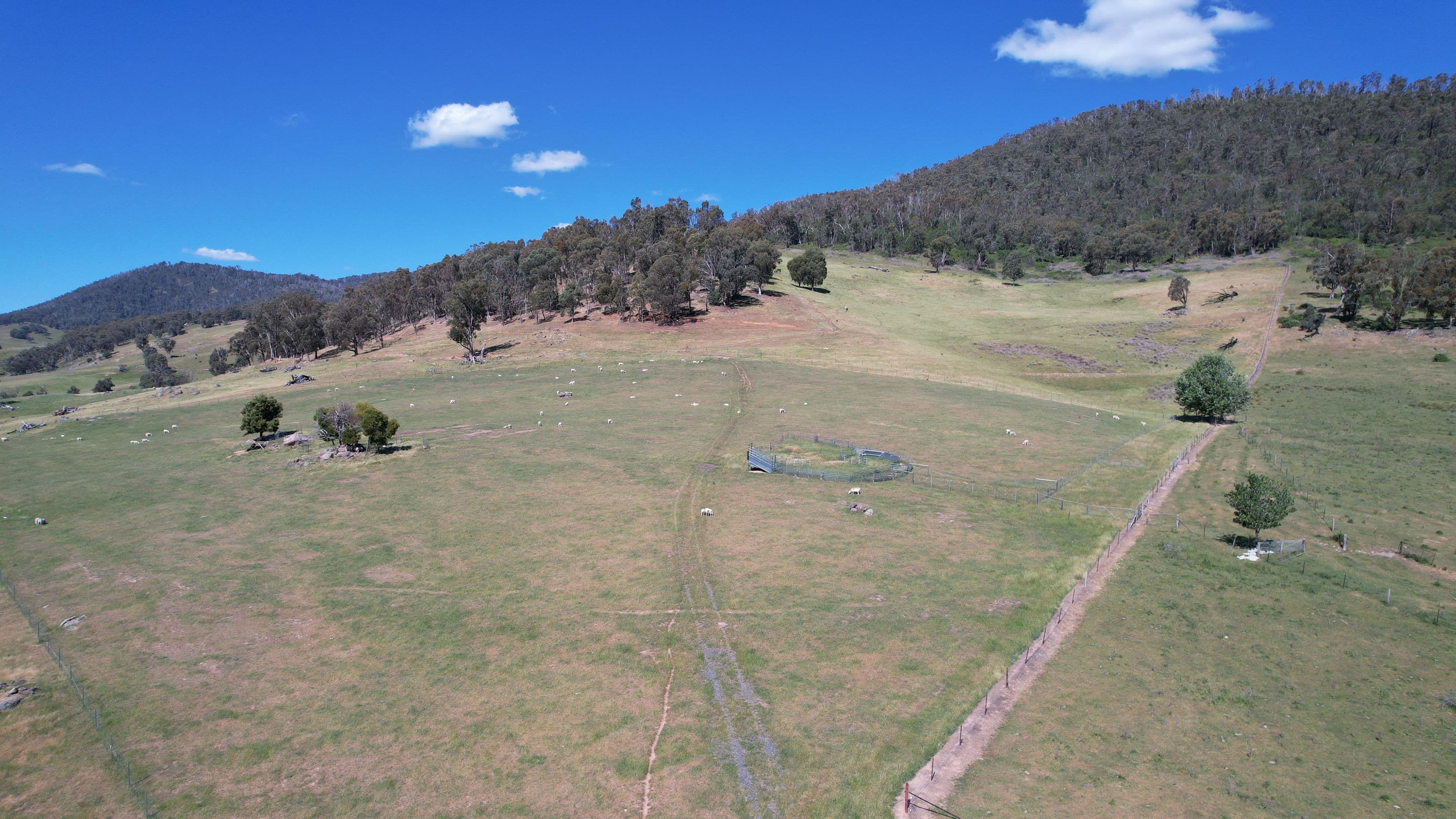 580 Batlow Road, Tumbarumba NSW 2653, Tumbarumba - Thumbnail 3
