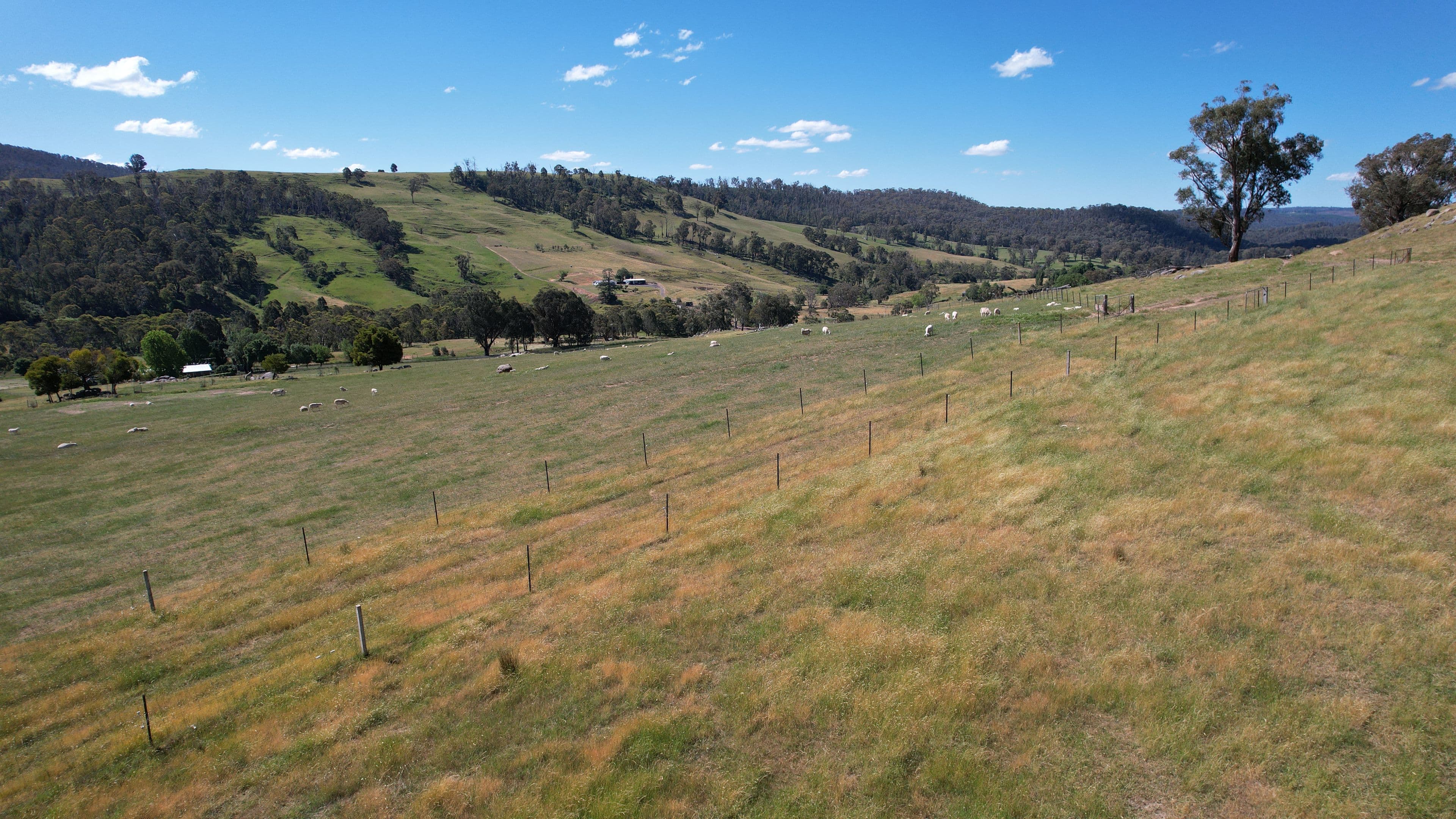 580 Batlow Road, Tumbarumba NSW 2653, Tumbarumba - Thumbnail 8