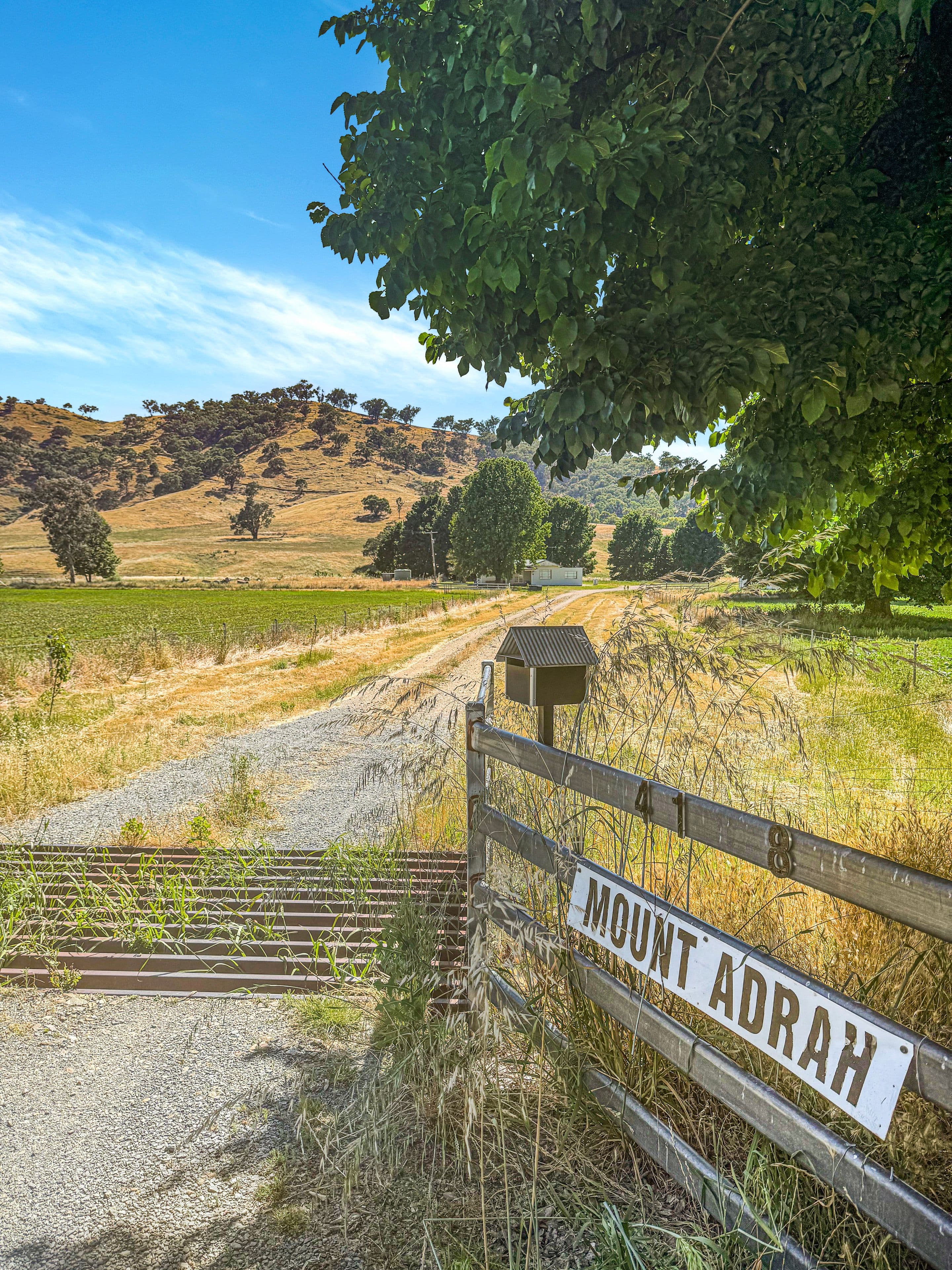 4108 Snowy Mountains Highway, Adelong NSW 2729, Adelong - Thumbnail 2