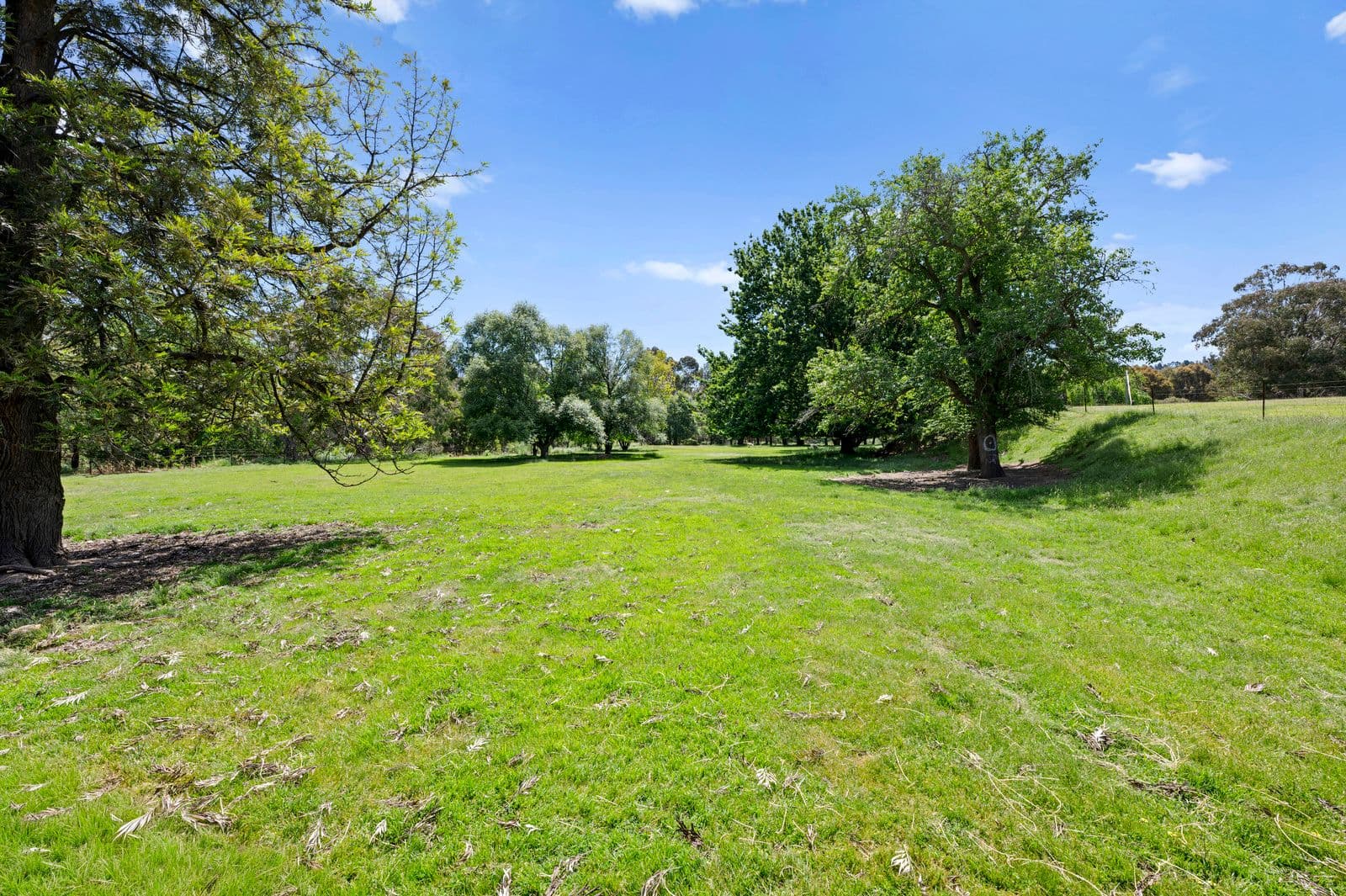 74 Kiernans Road, Bonnie Doon VIC 3720, Bonnie Doon - Thumbnail 7