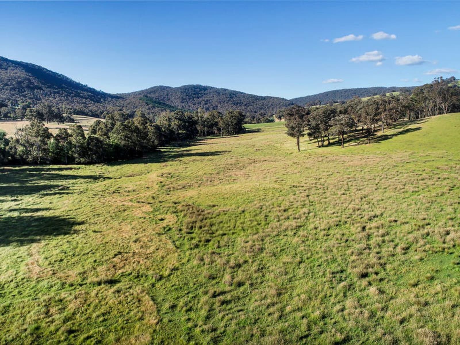 768 North Creek Road,Ancona, Ancona - Thumbnail 5
