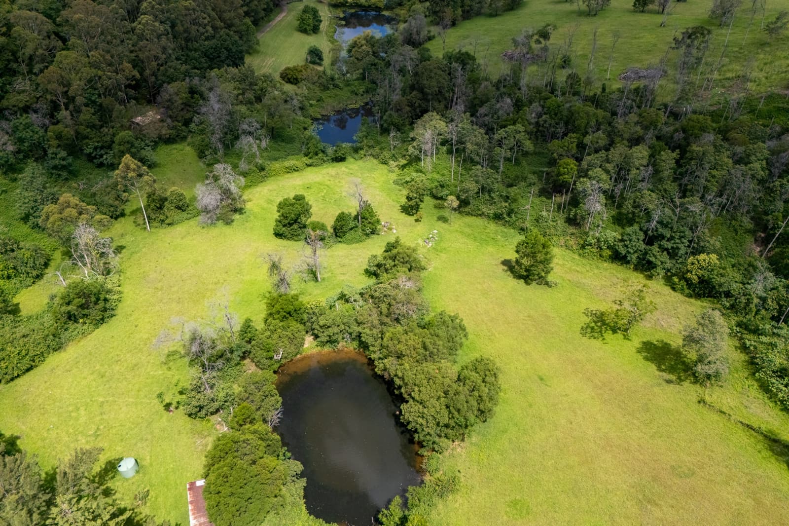 3 Serpentine Lane,Grose Vale, Grose Vale - Image 1