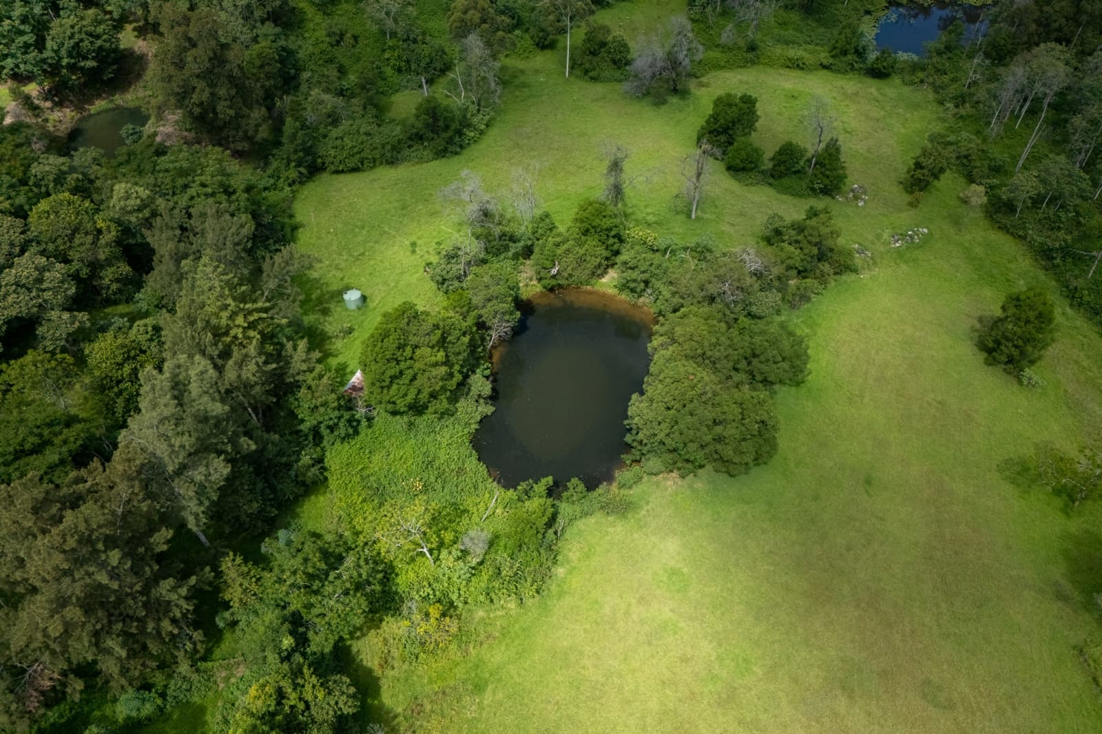 3 Serpentine Lane,Grose Vale, Grose Vale - Thumbnail 2
