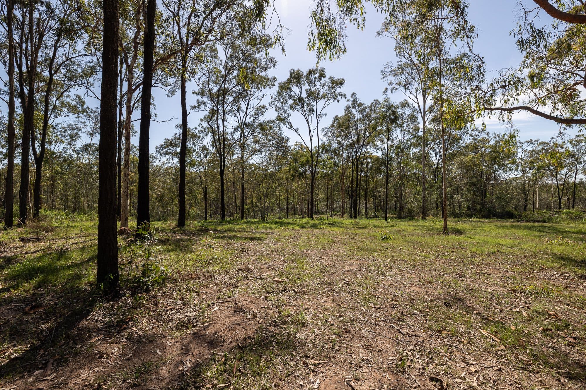 1 Contardo Street, Augustine Heights QLD 4300, Augustine Heights - Thumbnail 4