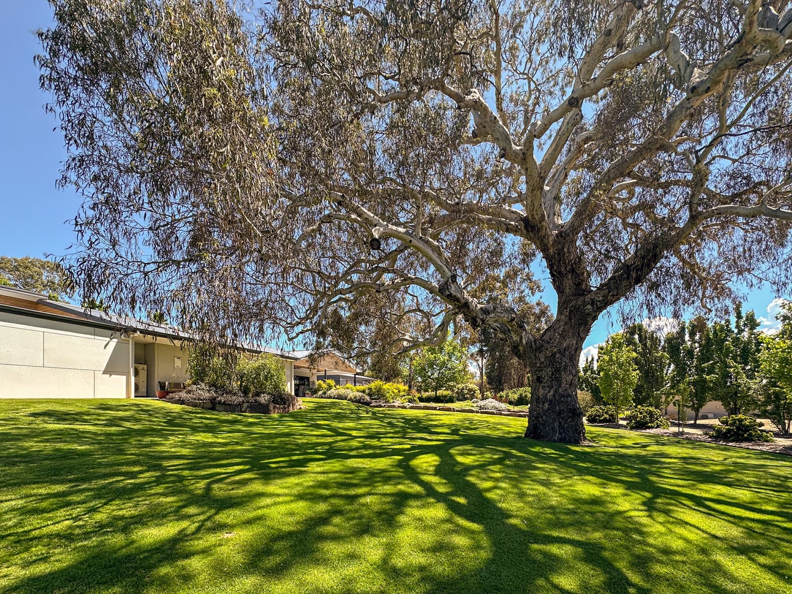 9 Stockmans Drive,Mansfield, Mansfield - Thumbnail 2