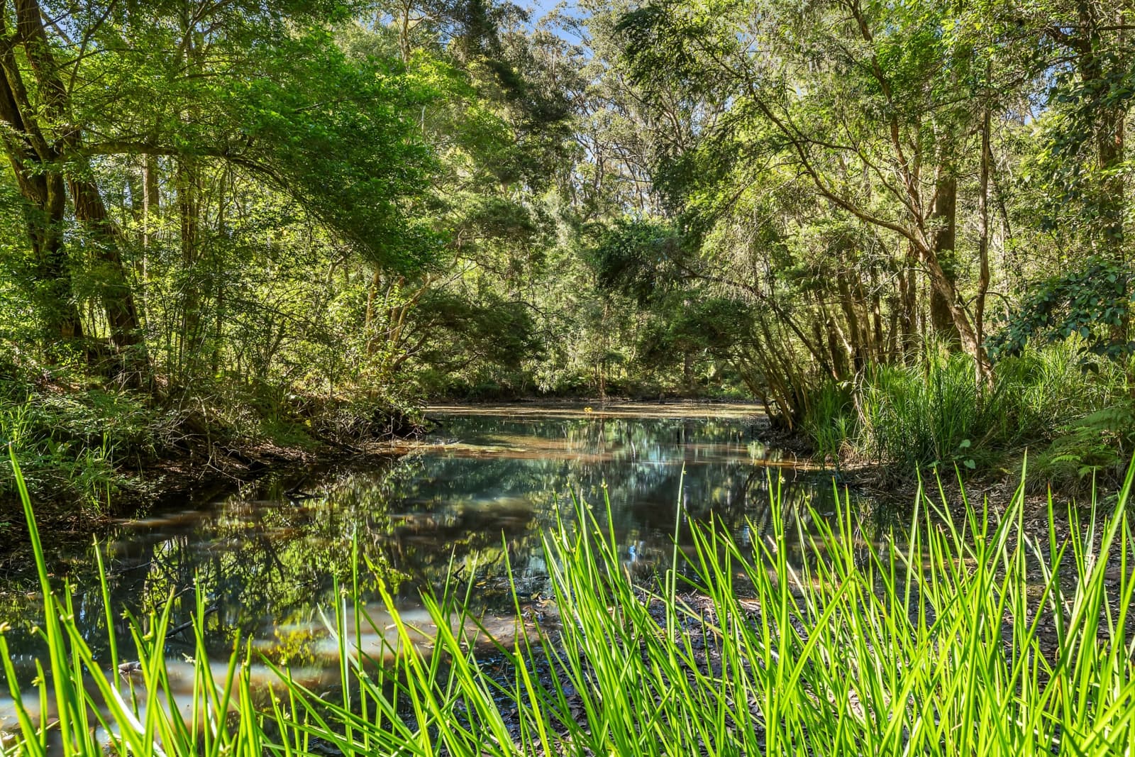 60 Glen Road,Ourimbah, Ourimbah - Thumbnail 8