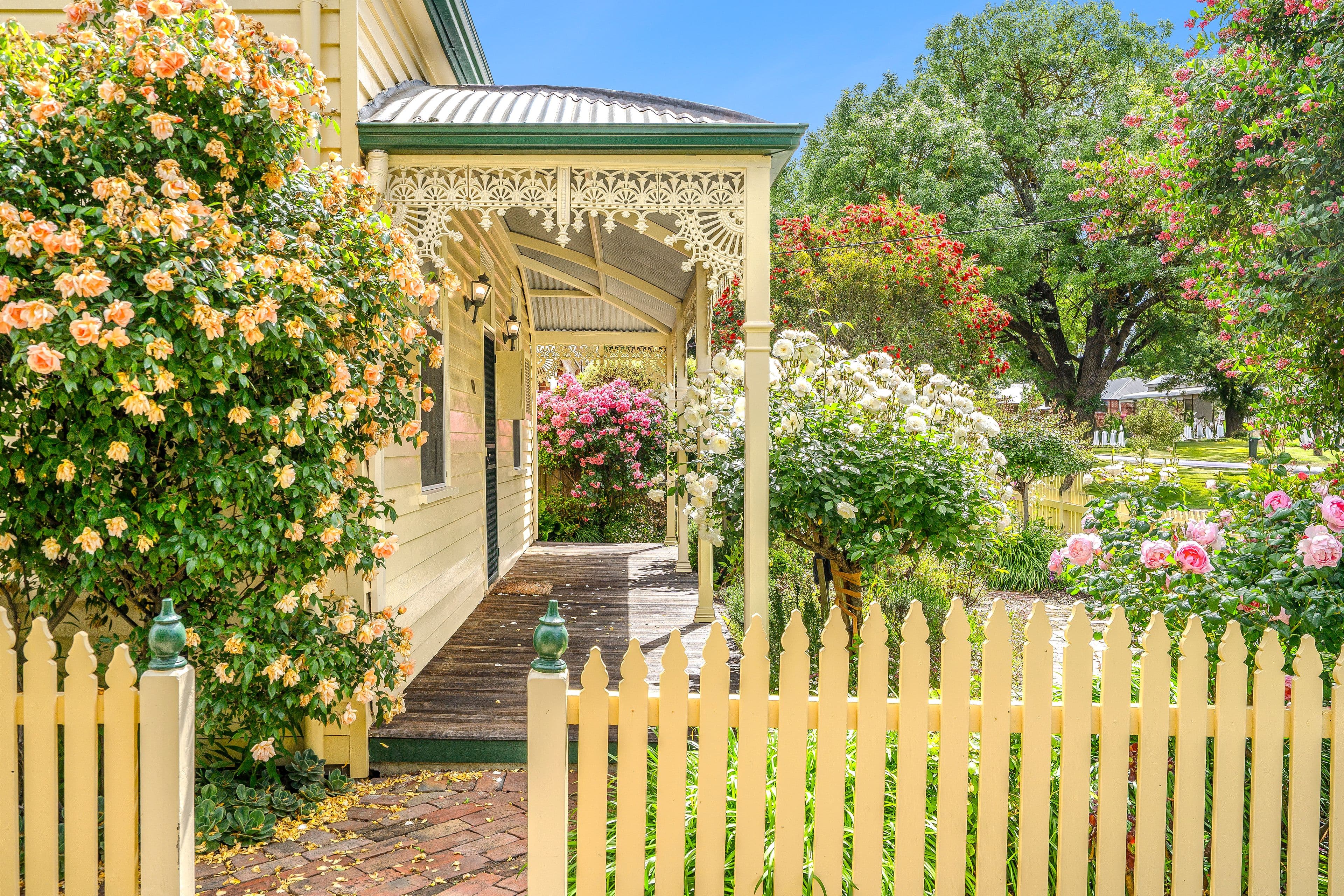 62 Calvert Street, Colac VIC 3250, Colac - Thumbnail 2