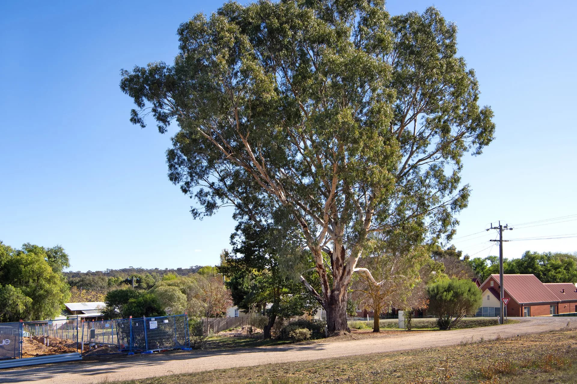 901 Cedar Creek Road, Cedar Creek, QLD, Cedar Creek - Thumbnail 6