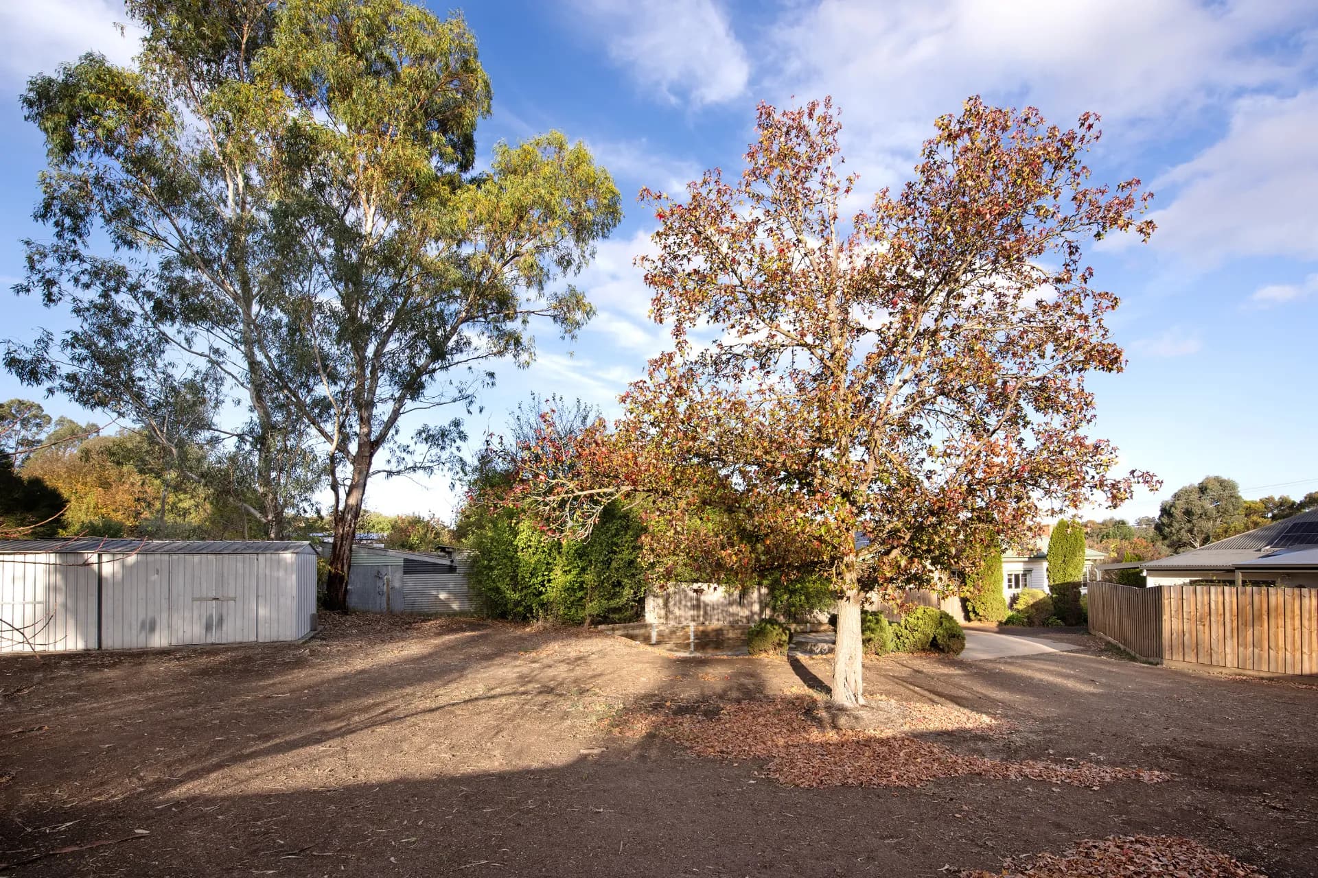 42A Ray Street, Castlemaine - Thumbnail 6