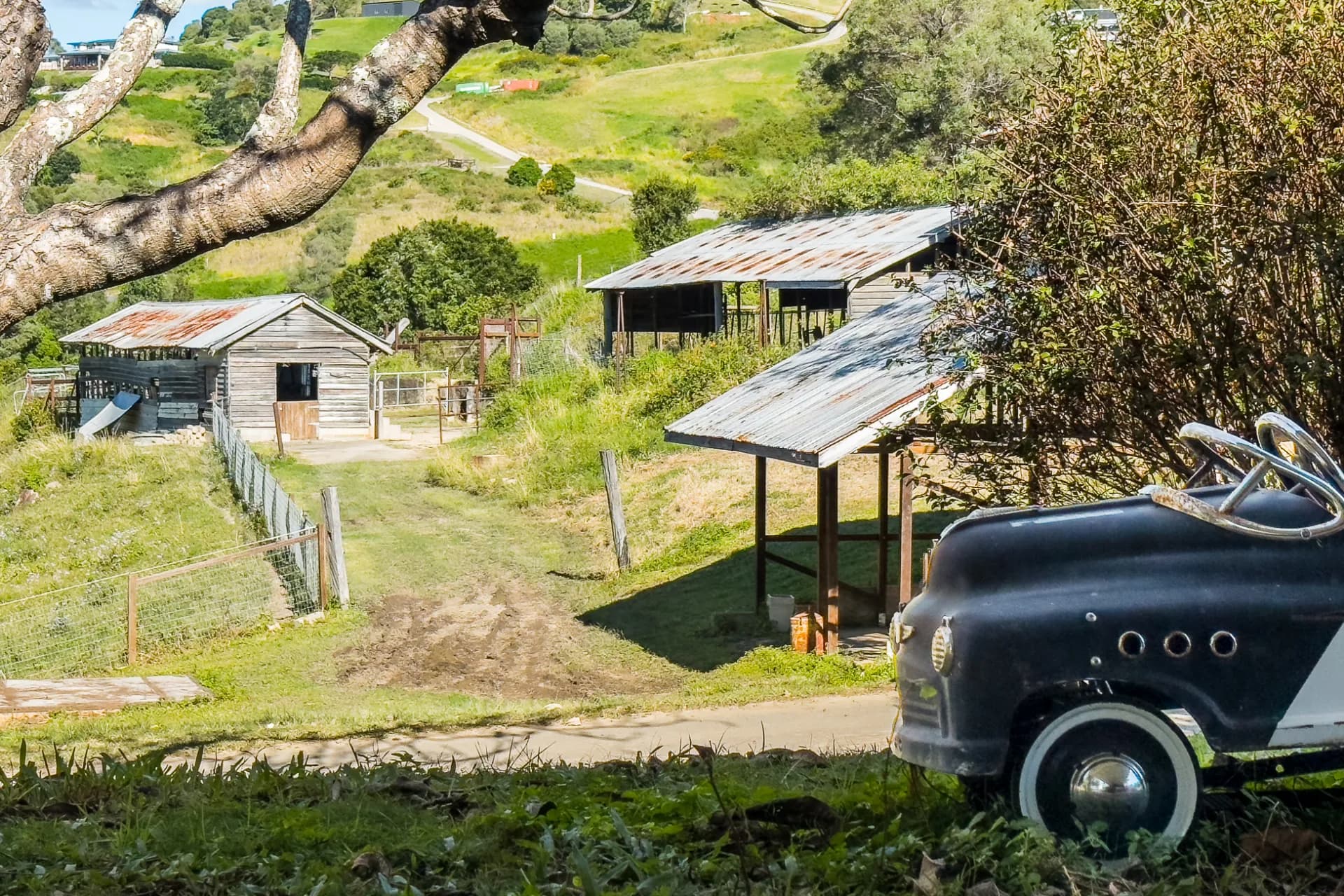 66 Morrison Road, Cedar Creek - Thumbnail 3