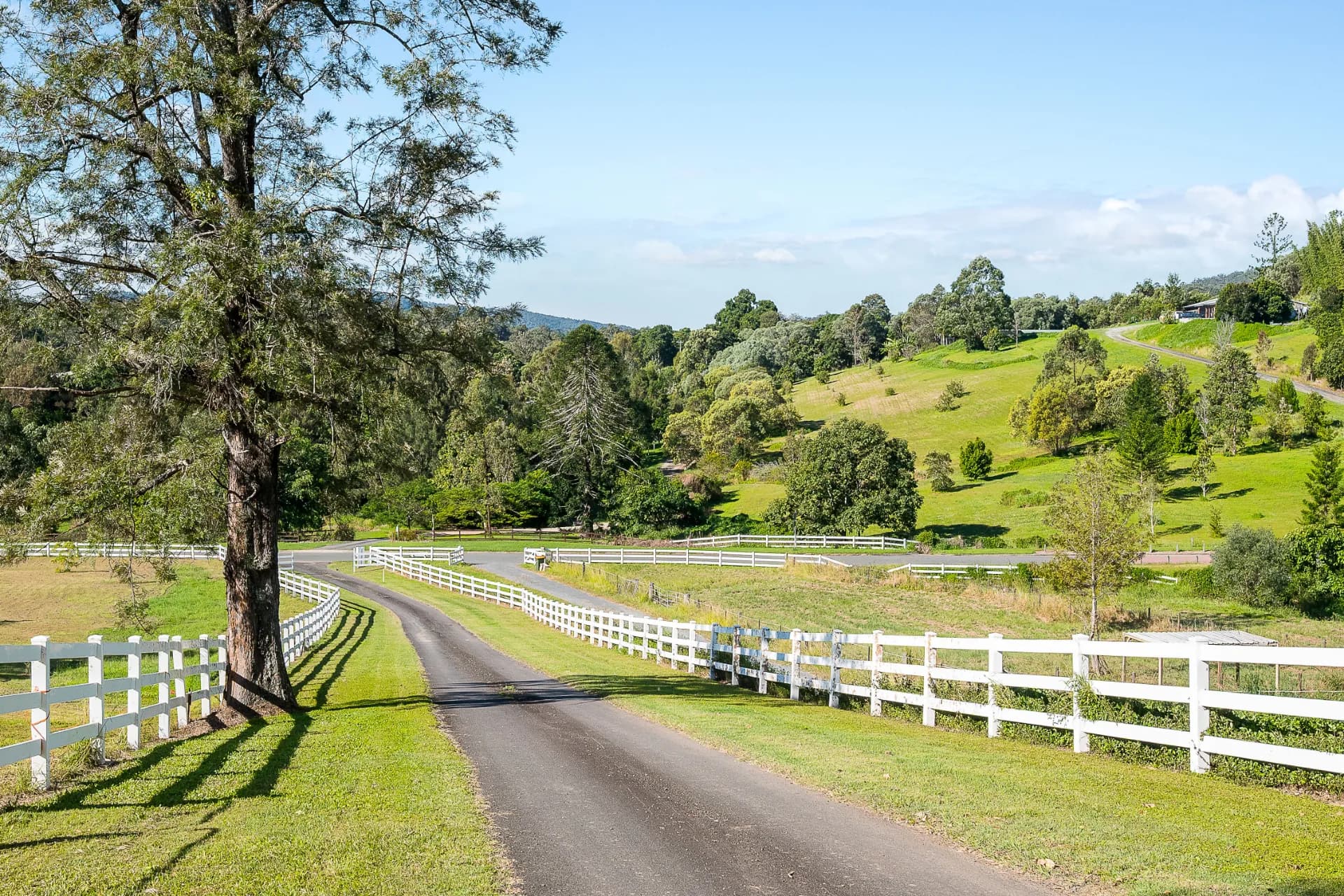 66 Morrison Road, Cedar Creek - Thumbnail 6
