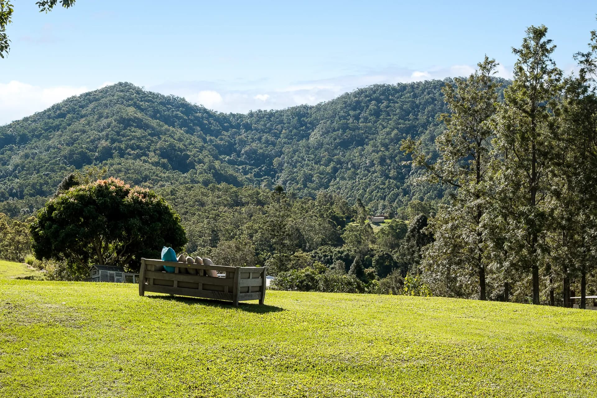 66 Morrison Road, Cedar Creek - Thumbnail 7