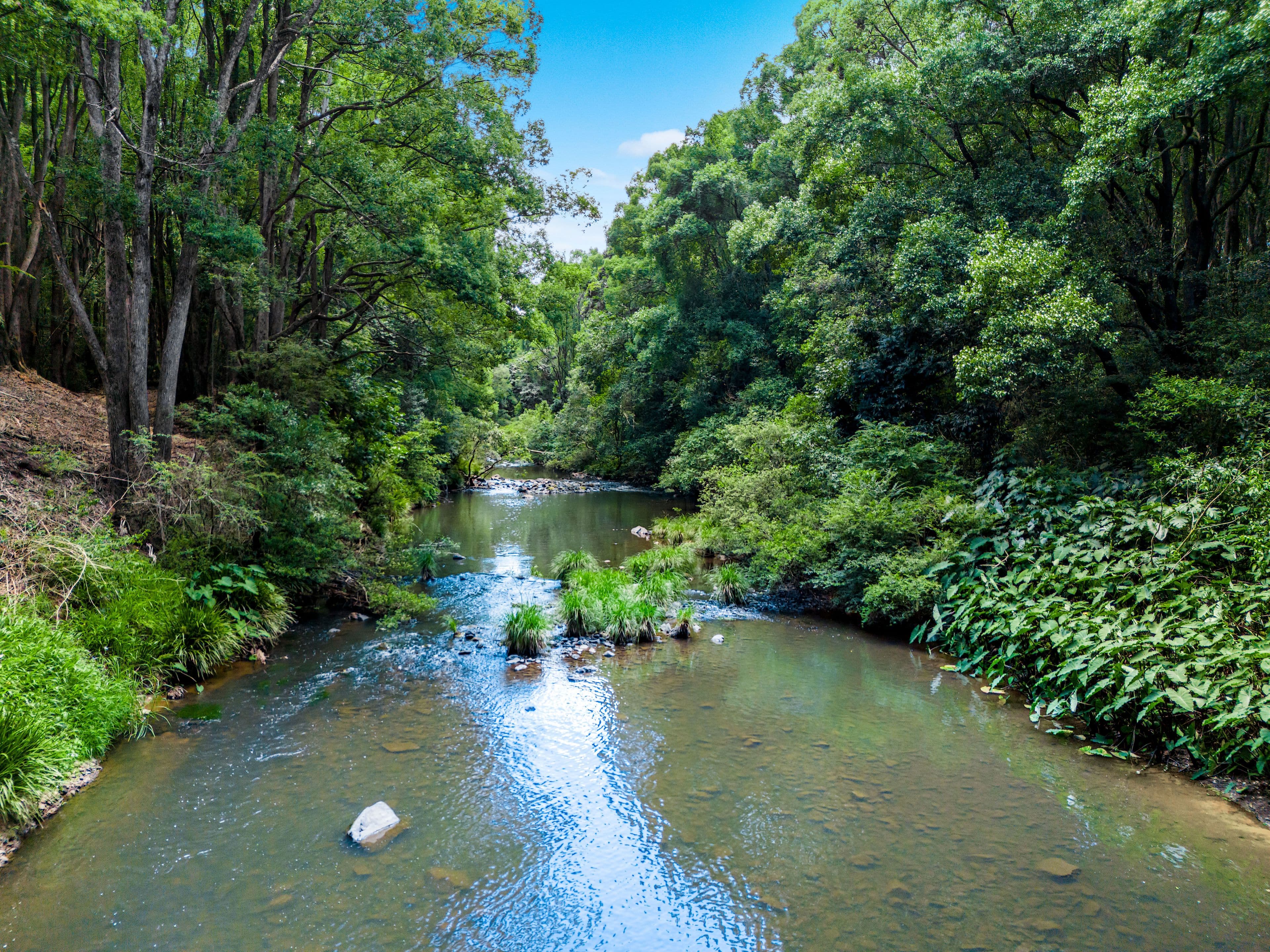 137 Waltons Road, Federal NSW 2480, Federal - Thumbnail 7