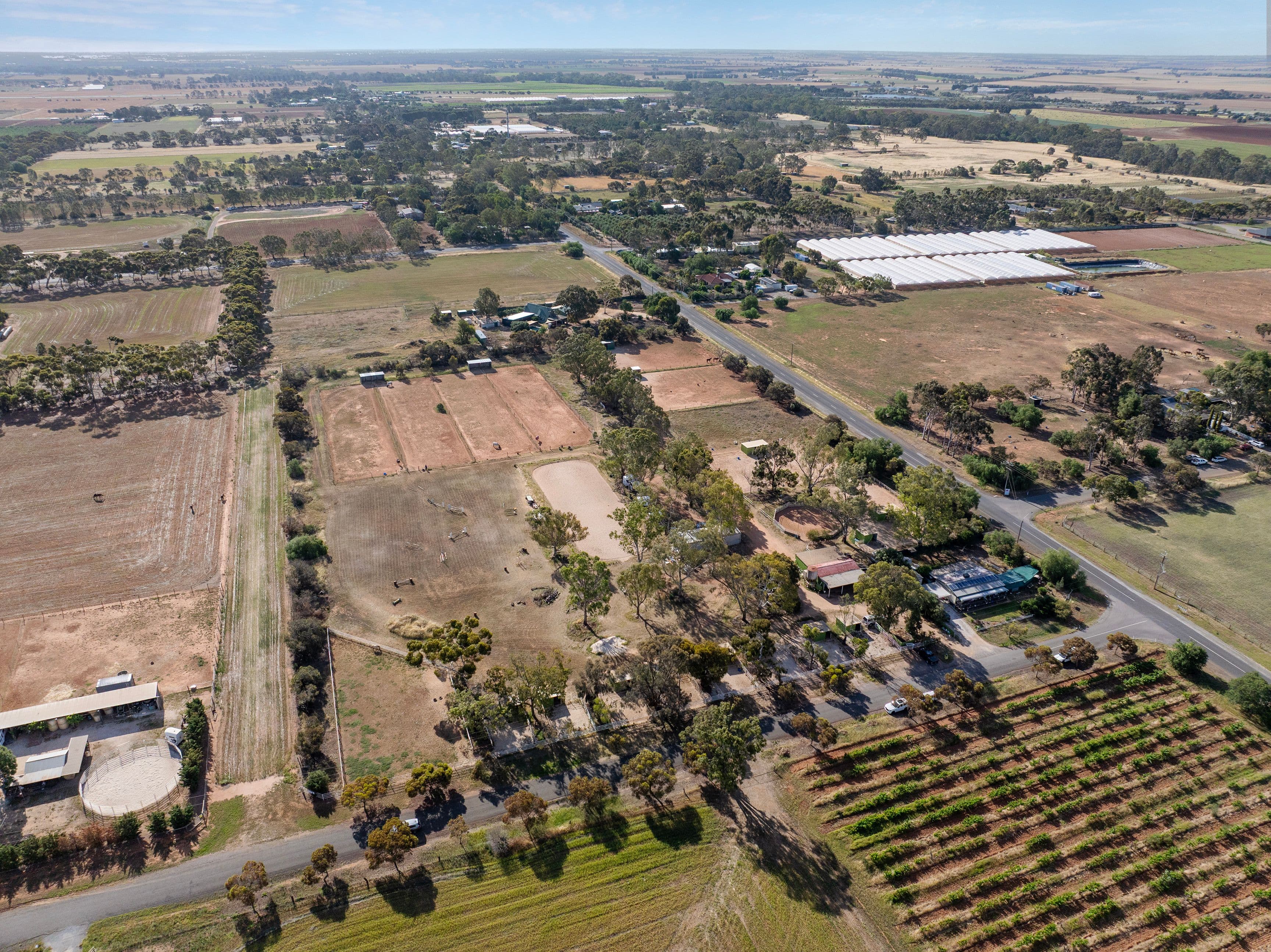 53 Badman Street, Hillier SA 5116, Hillier - Thumbnail 4