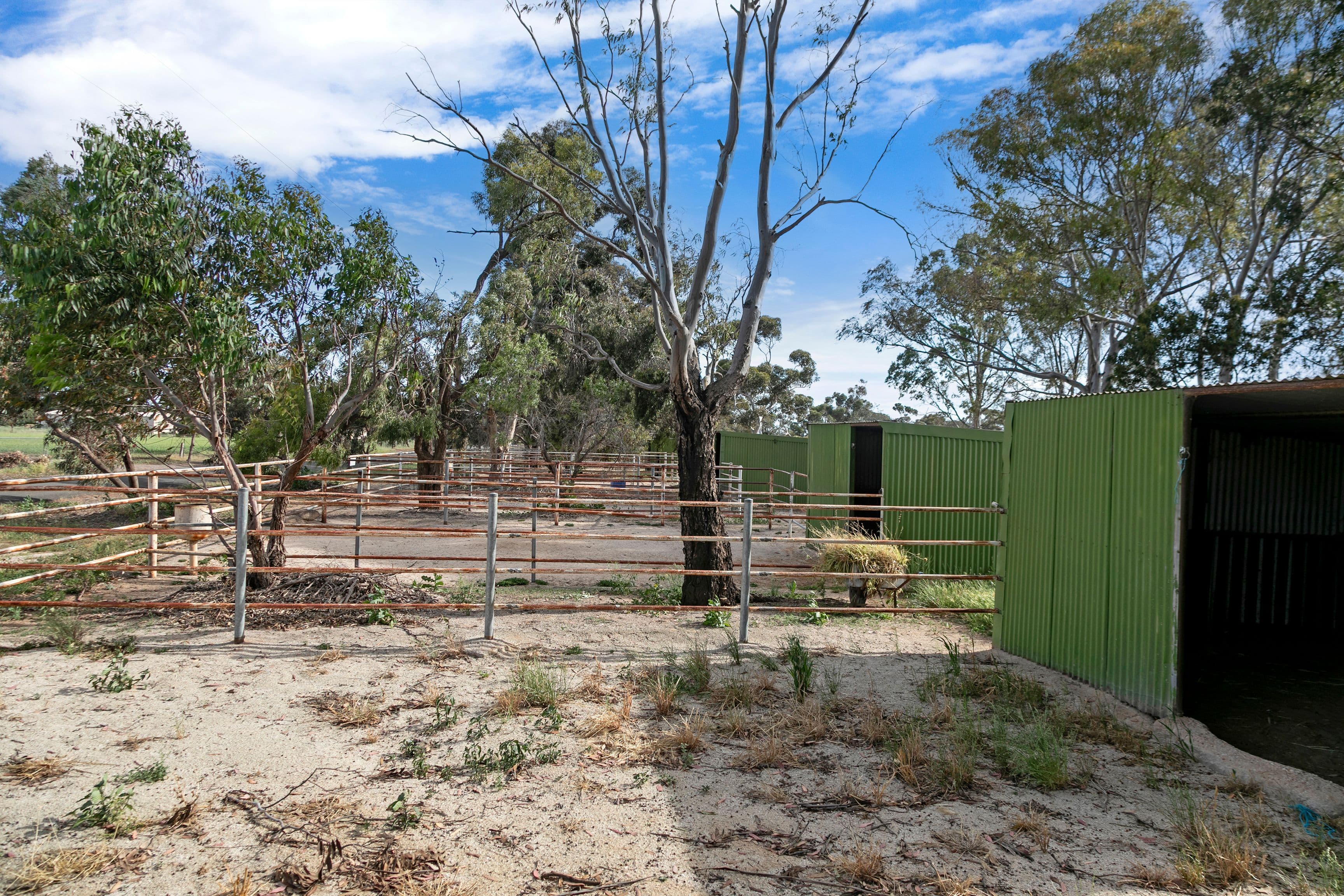 53 Badman Street, Hillier SA 5116, Hillier - Thumbnail 7