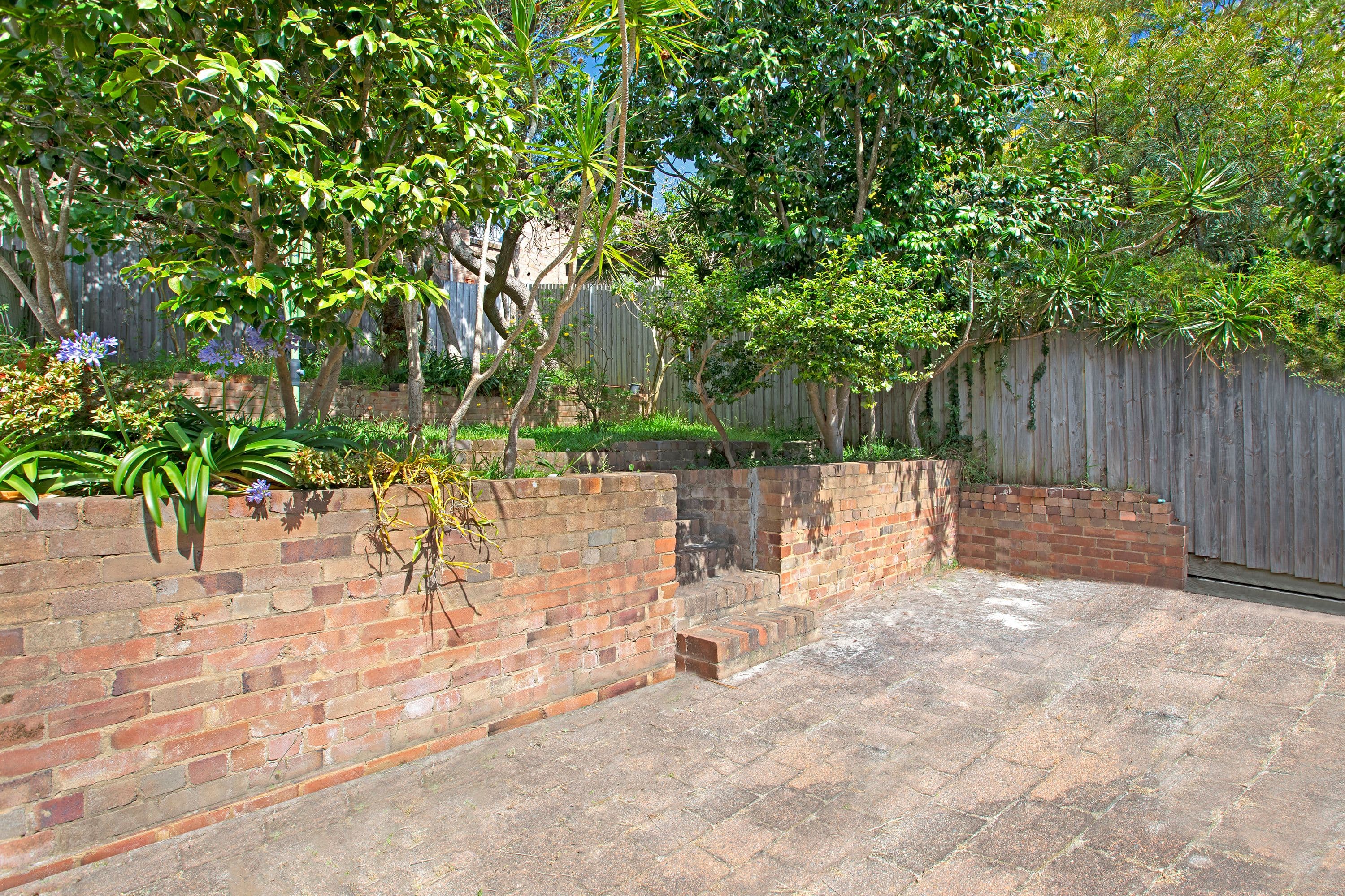 3 Lee Street, Randwick NSW 2031, Randwick - Thumbnail 4