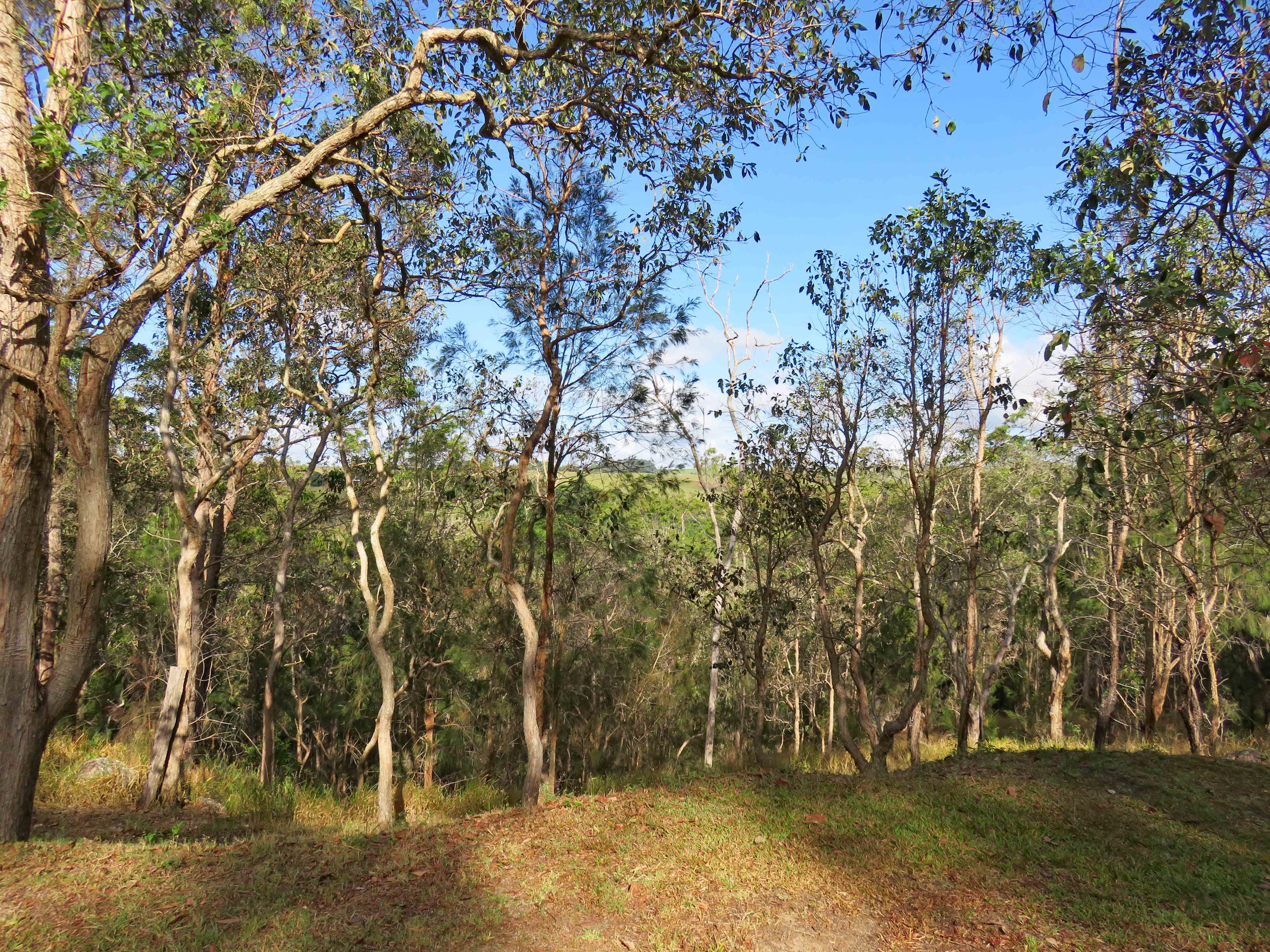 Upper Barron QLD 4883, Upper Barron - Thumbnail 7