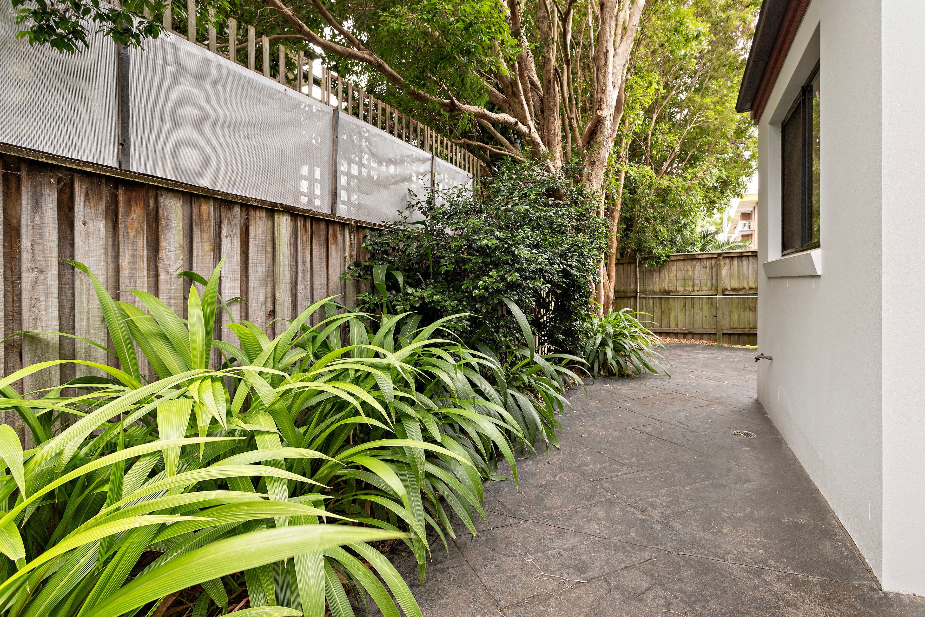 115 Manning Street, Kiama NSW 2533, Kiama - Thumbnail 7