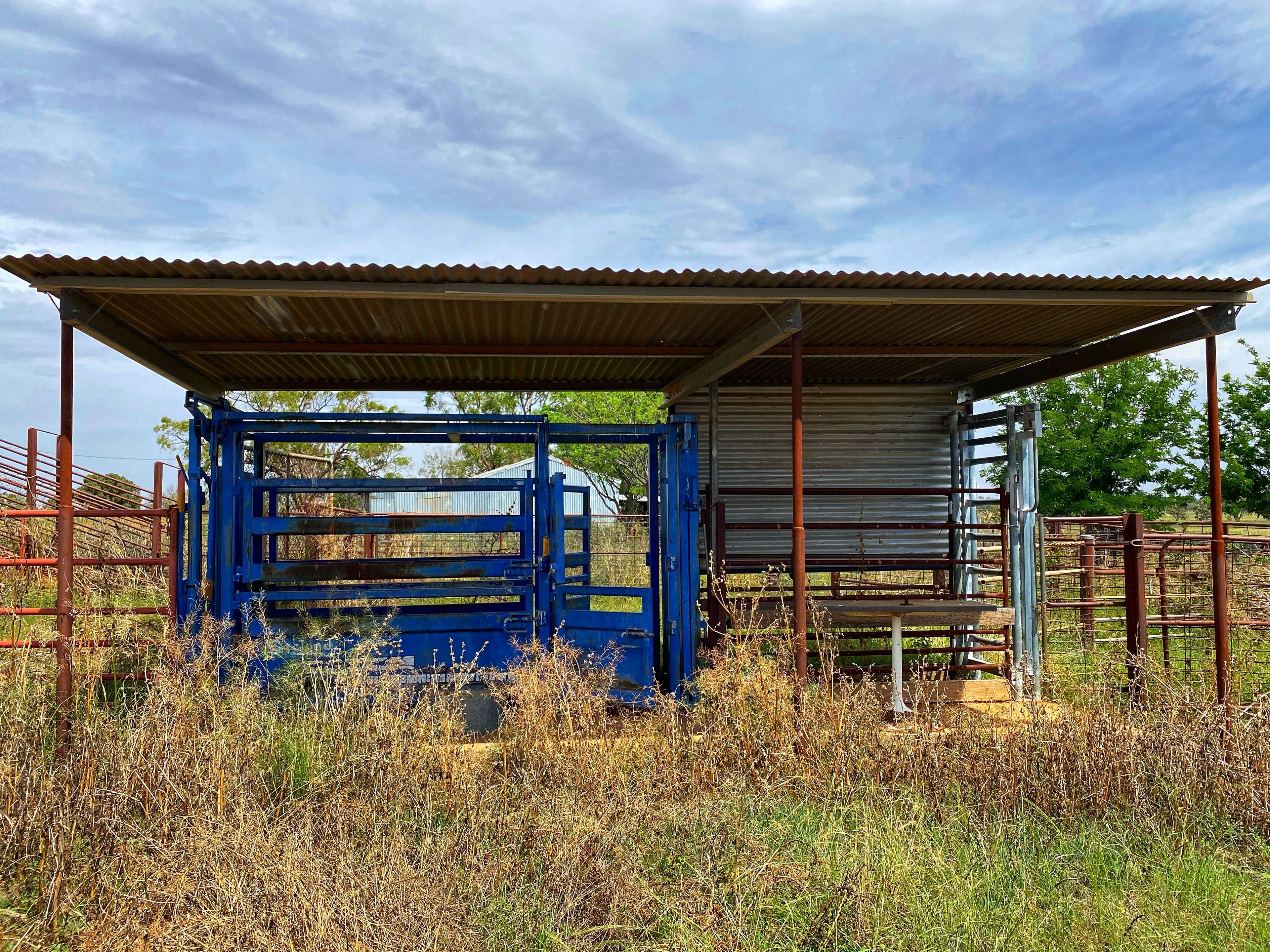 Fermoy 9286 The Bogan Way, TULLAMORE NSW 2874, Tullamore - Thumbnail 4