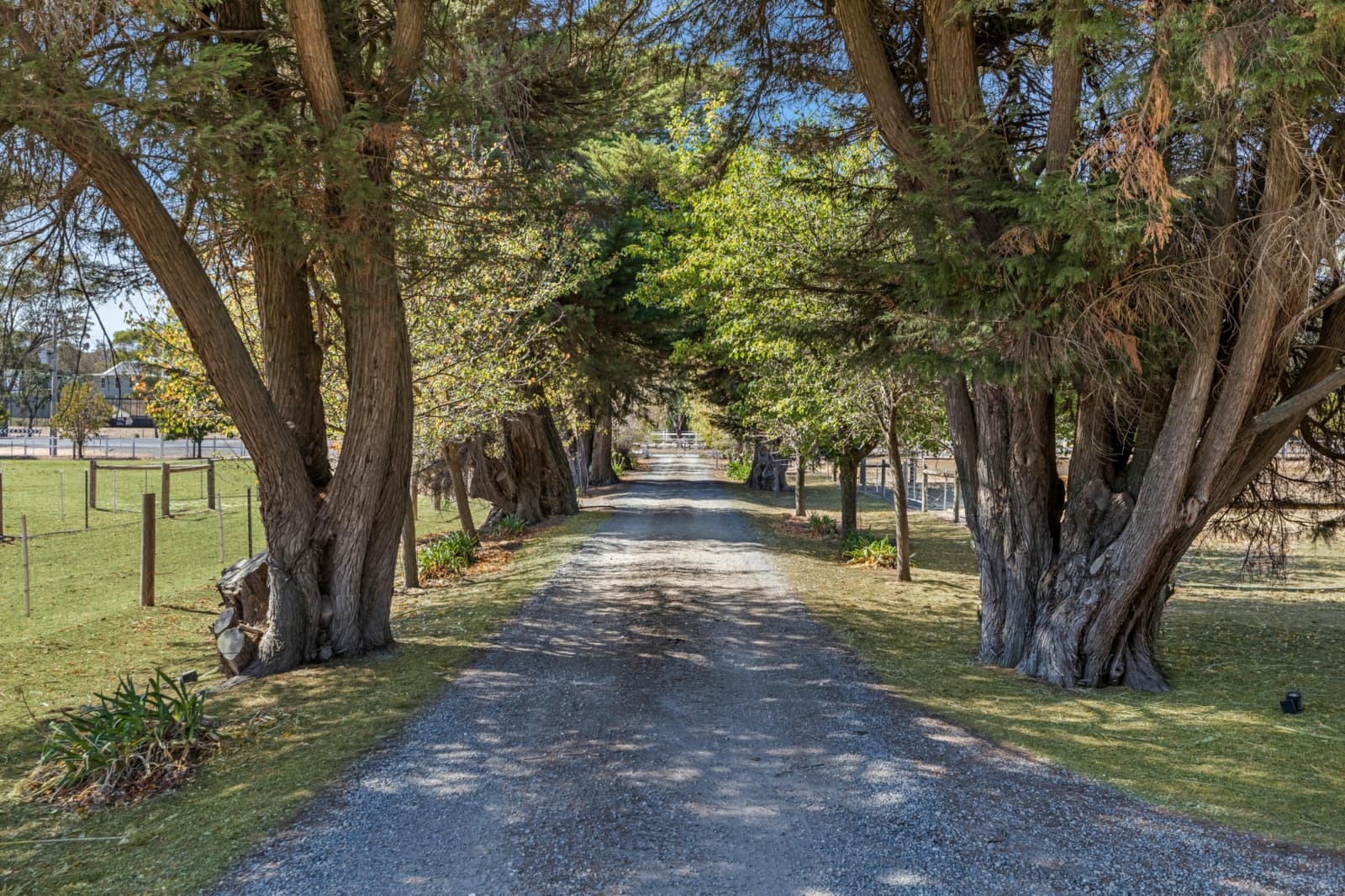 152 Nankervis Road,Mandurang, Mandurang - Thumbnail 6
