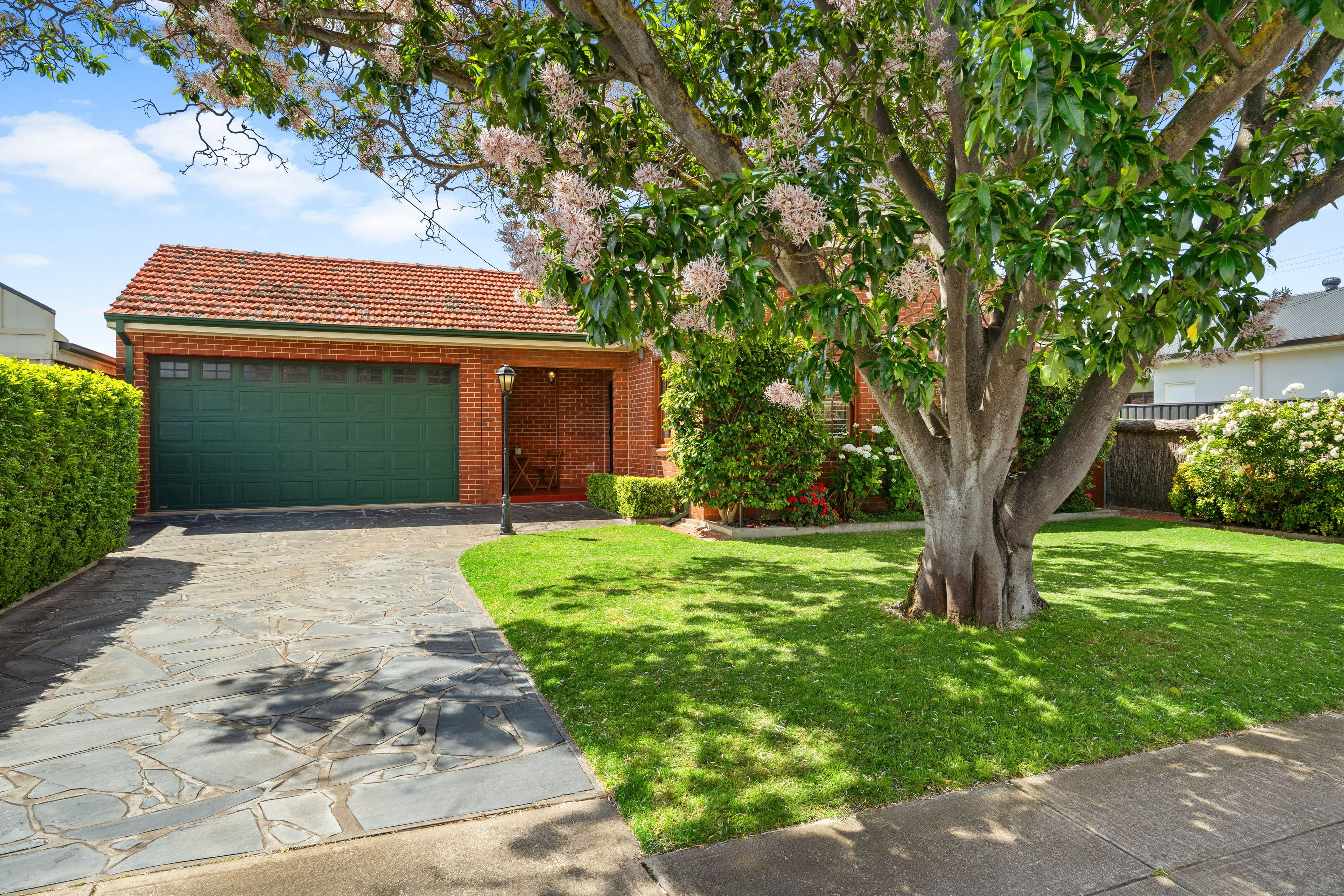 3 Wongala Avenue, Glenelg North SA 5045, Glenelg North - Thumbnail 2