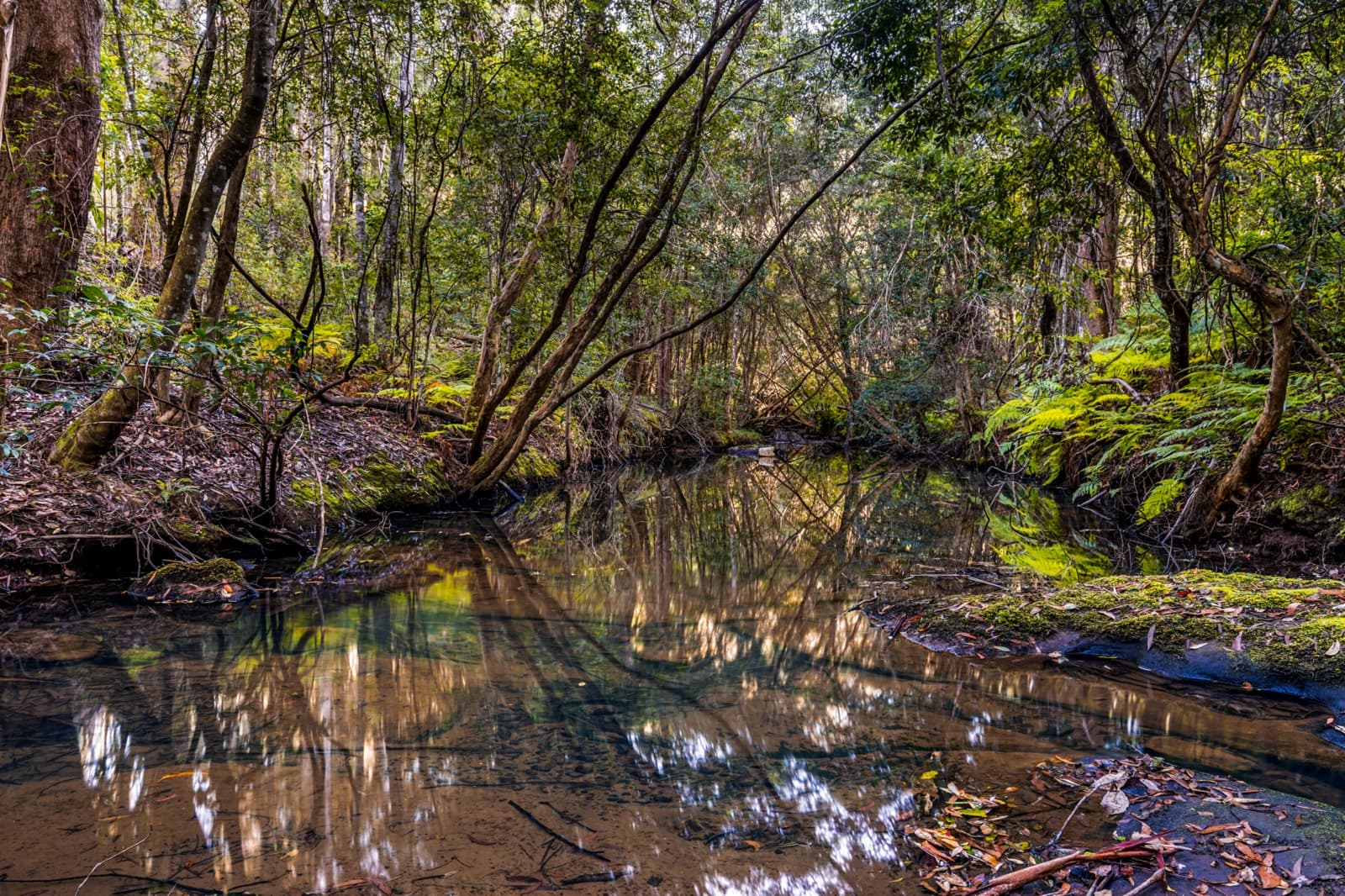 83H Willow Glen Road,Kurrajong, Kurrajong - Thumbnail 4