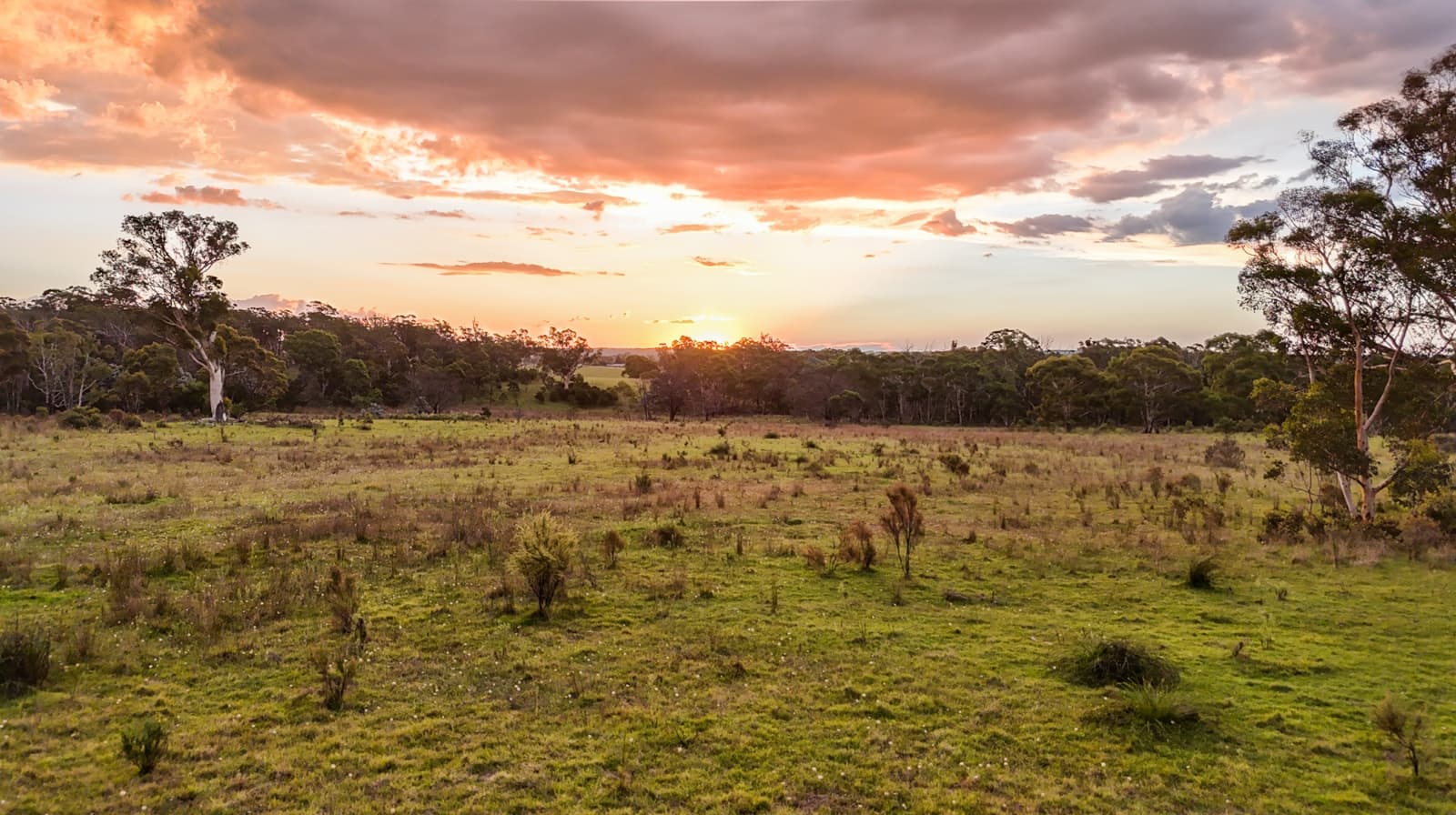 272 Inverary Road,Paddys River, Paddys River - Thumbnail 4
