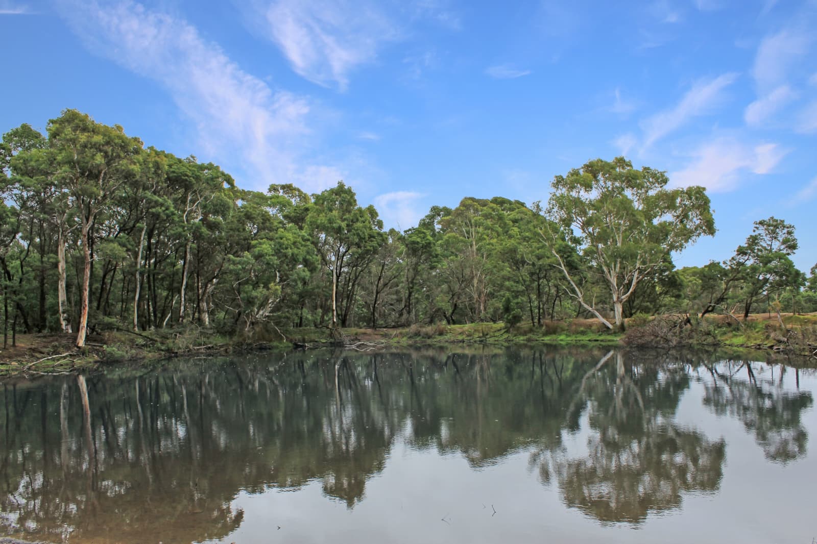 272 Inverary Road,Paddys River, Paddys River - Thumbnail 6