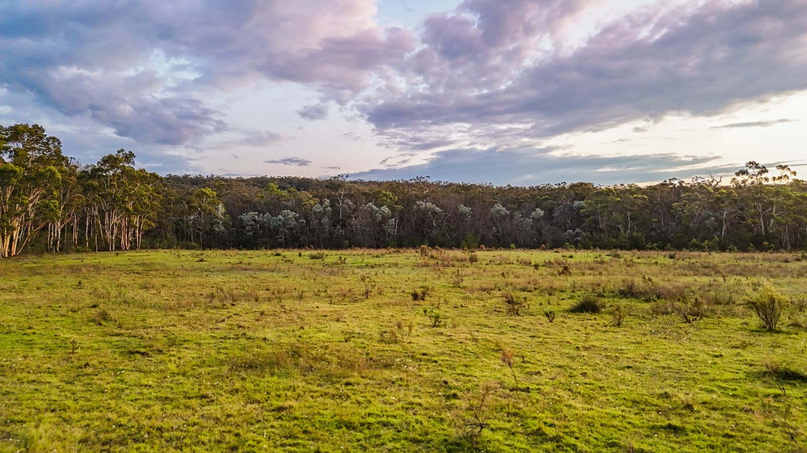 272 Inverary Road,Paddys River, Paddys River - Thumbnail 7