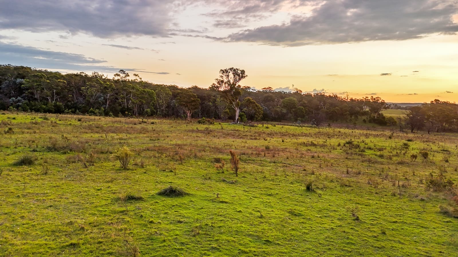 272 Inverary Road,Paddys River, Paddys River - Thumbnail 8