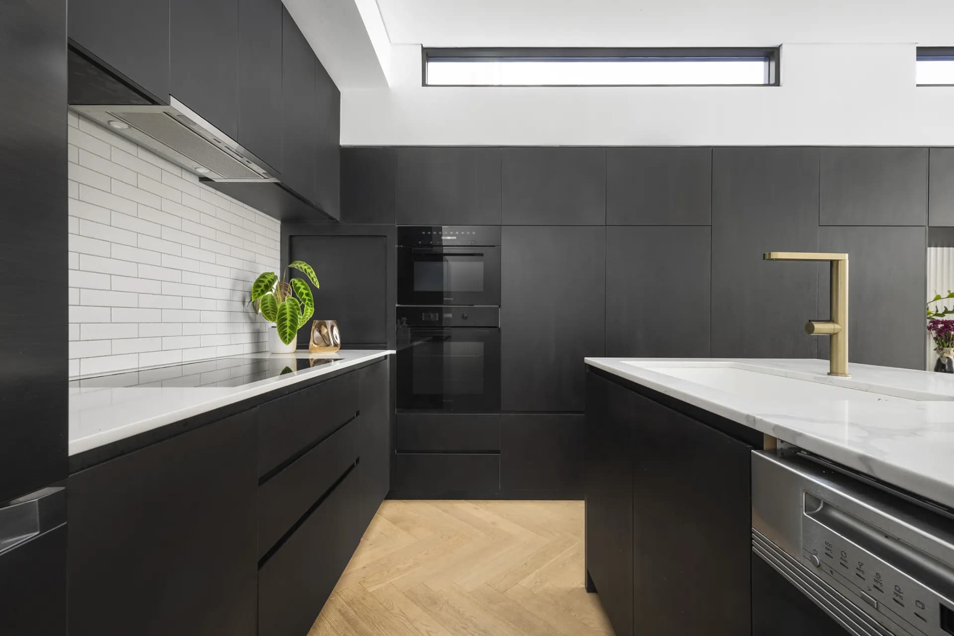 40   Alt Street, Queens Park, NSW, Queens Park - Thumbnail 4