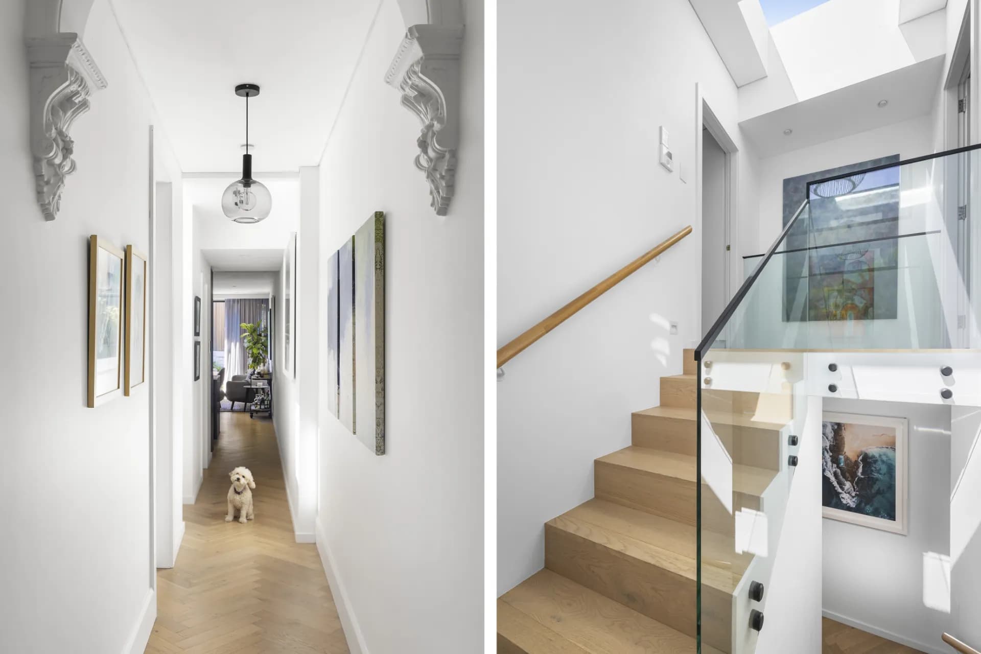 40   Alt Street, Queens Park, NSW, Queens Park - Thumbnail 5