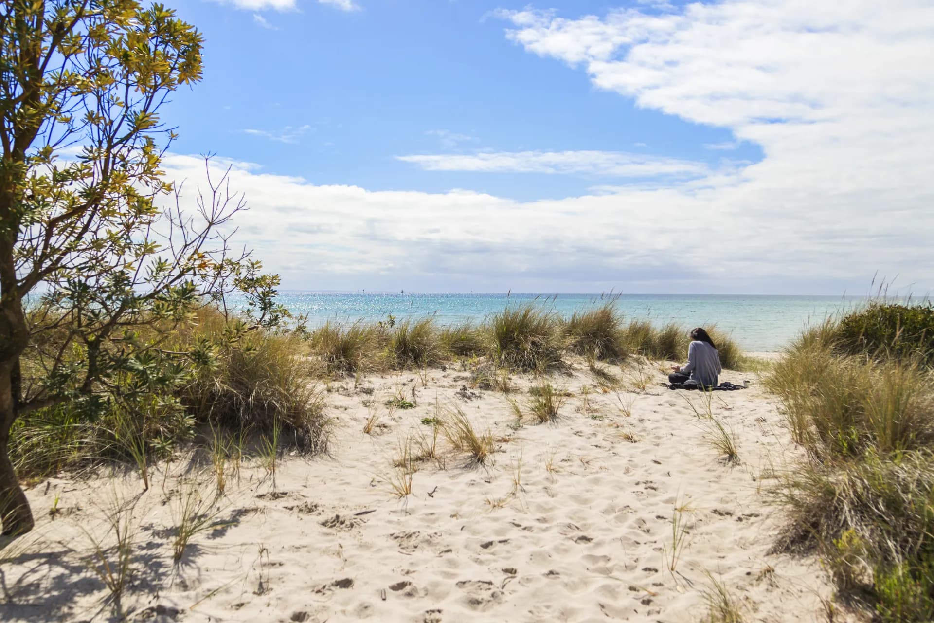 56 Esplanade, Christies Beach, SA, Christies Beach - Thumbnail 5