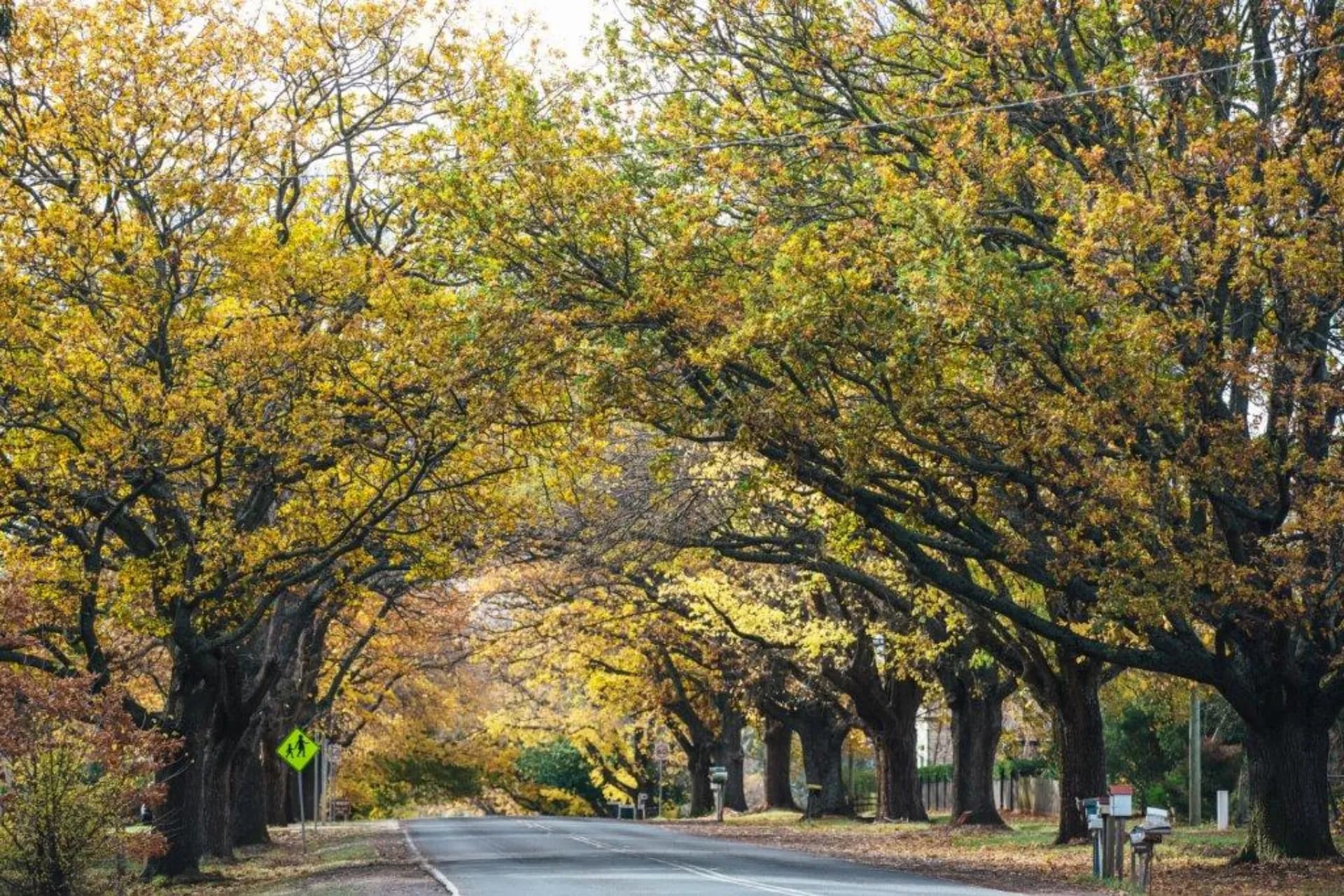 121 Raglan Street, Daylesford - Thumbnail 3