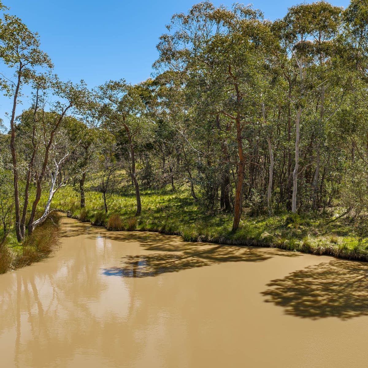 210 McLaughlin Road, Gundary - Thumbnail 5