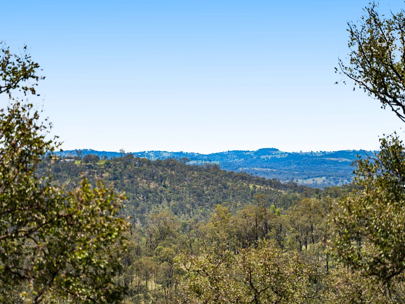 225 Wild Deer Drive, Taromeo - Thumbnail 2
