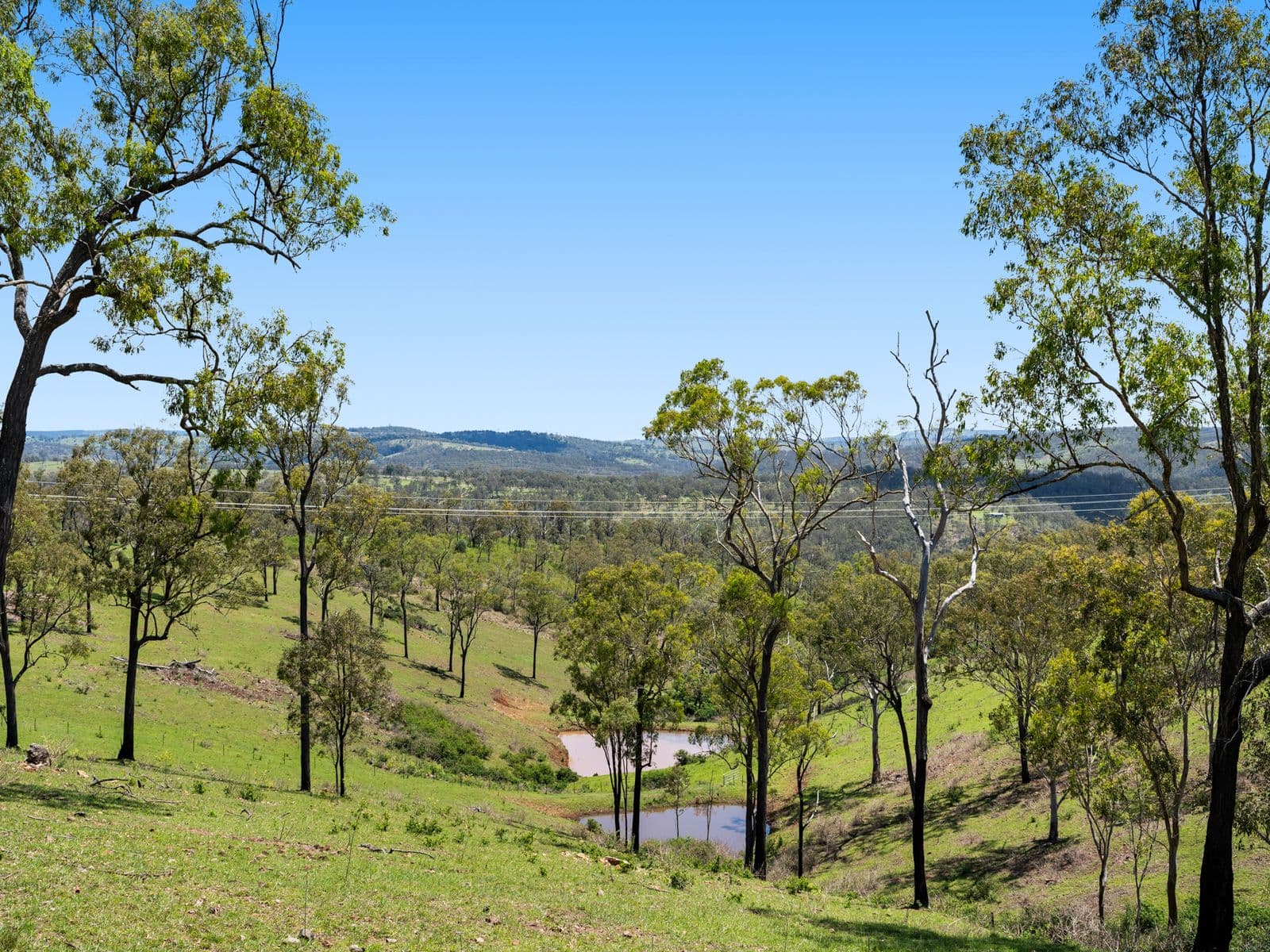 225 Wild Deer Drive, Taromeo - Thumbnail 3