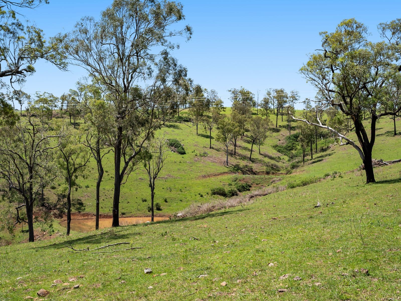225 Wild Deer Drive, Taromeo - Thumbnail 8