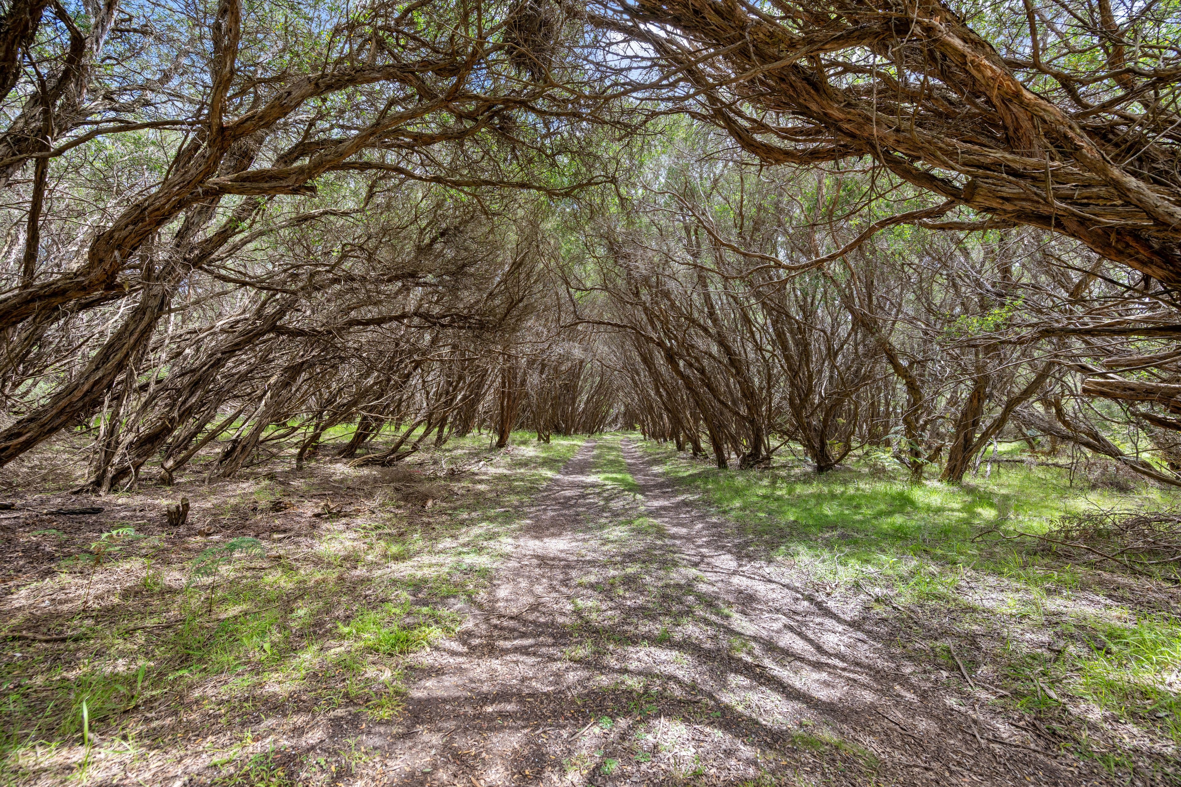 812 Lees Road, Venus Bay VIC 3956, Venus Bay - Thumbnail 2